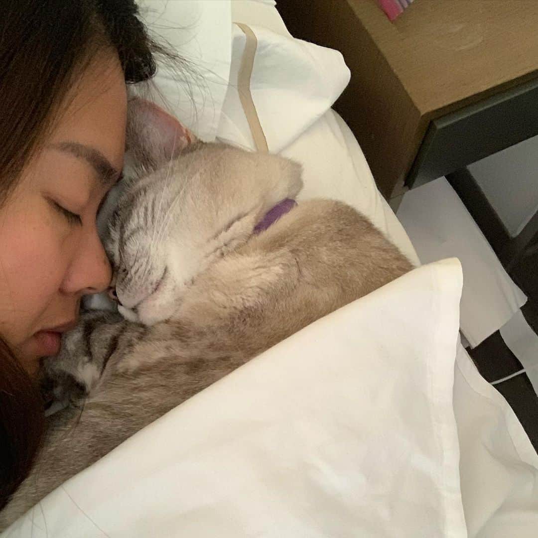 nala_catのインスタグラム