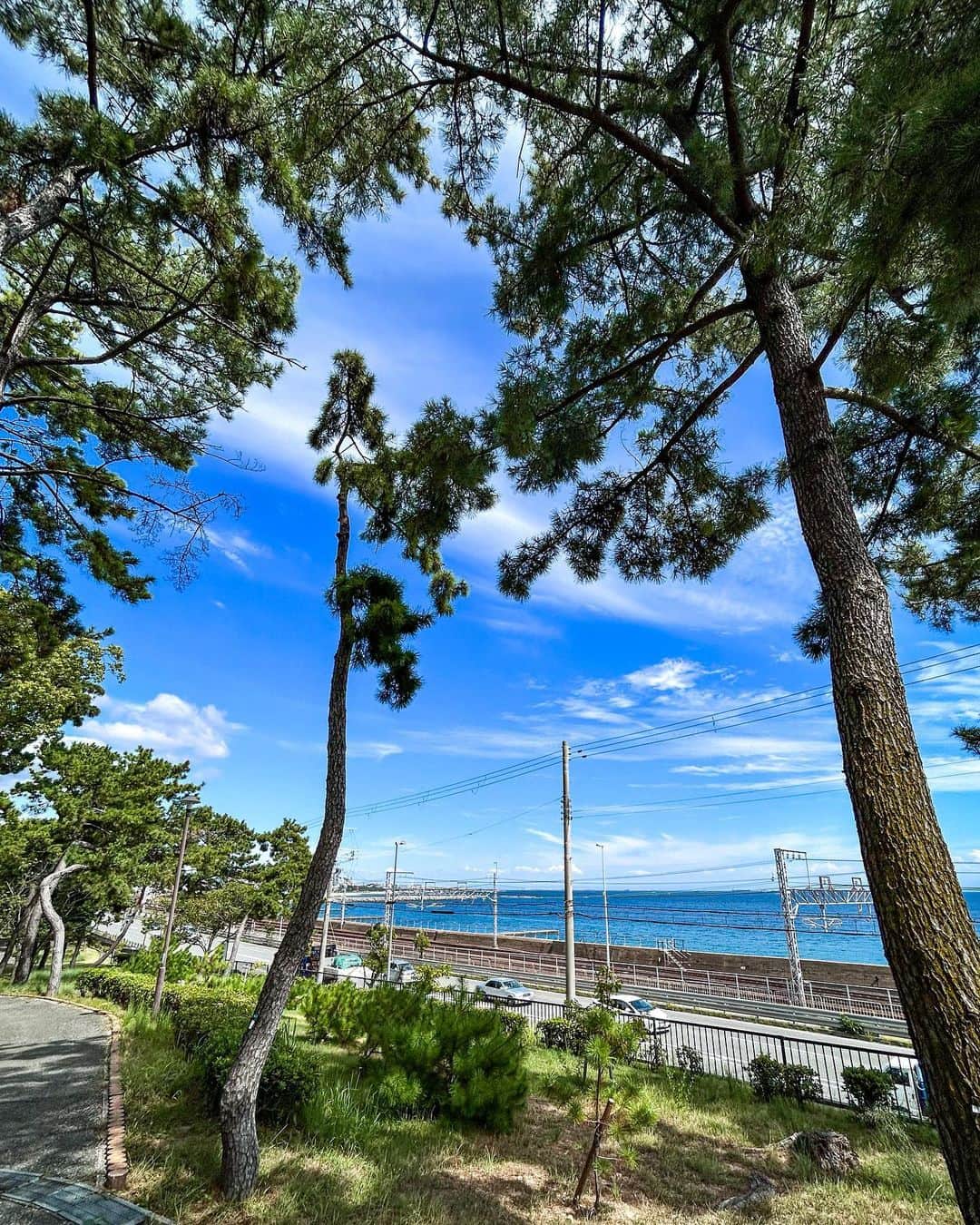 一級建築士事務所hausのグルメインスタ