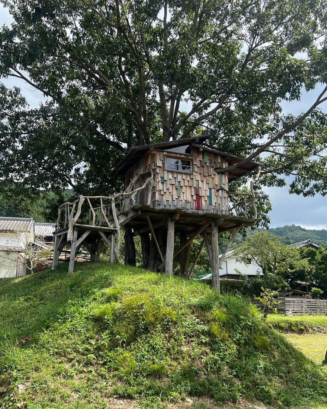 薮下柊さんのインスタグラム写真 - (薮下柊Instagram)「トレッキング日和でした⛰️☀️  新しく新調した @tevajapan のサンダルで沢渡りもへっちゃらでした〜✨  ポパイも自然大好きなので楽しそうでした〜！  最近涼しくなってきて嬉しいね😆🐾 しぜんは私たちの宝物🌱  #登山 #ハイキング #トレッキング #大型犬のいる生活」9月9日 20時00分 - __yabushita_shu__