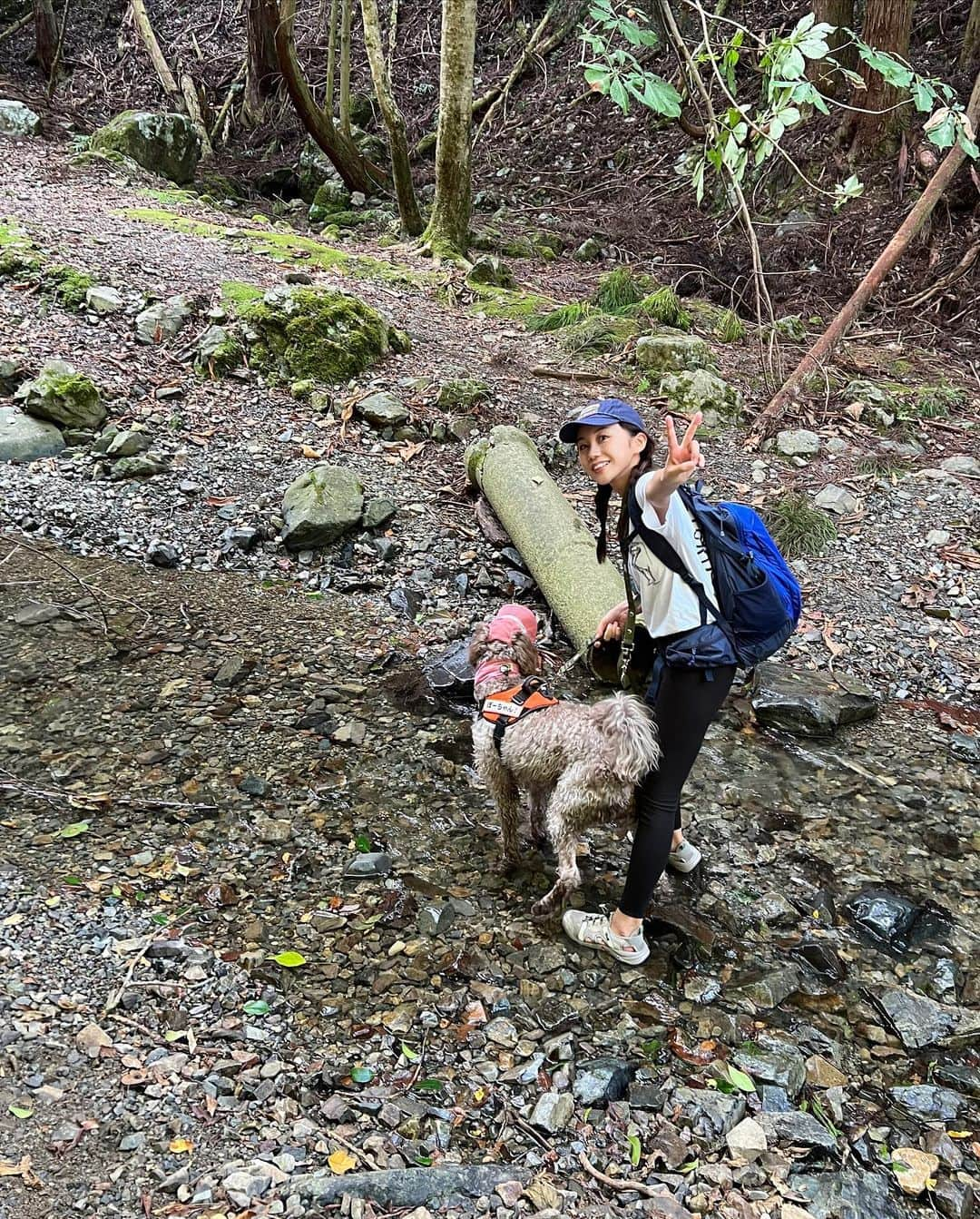 薮下柊さんのインスタグラム写真 - (薮下柊Instagram)「トレッキング日和でした⛰️☀️  新しく新調した @tevajapan のサンダルで沢渡りもへっちゃらでした〜✨  ポパイも自然大好きなので楽しそうでした〜！  最近涼しくなってきて嬉しいね😆🐾 しぜんは私たちの宝物🌱  #登山 #ハイキング #トレッキング #大型犬のいる生活」9月9日 20時00分 - __yabushita_shu__