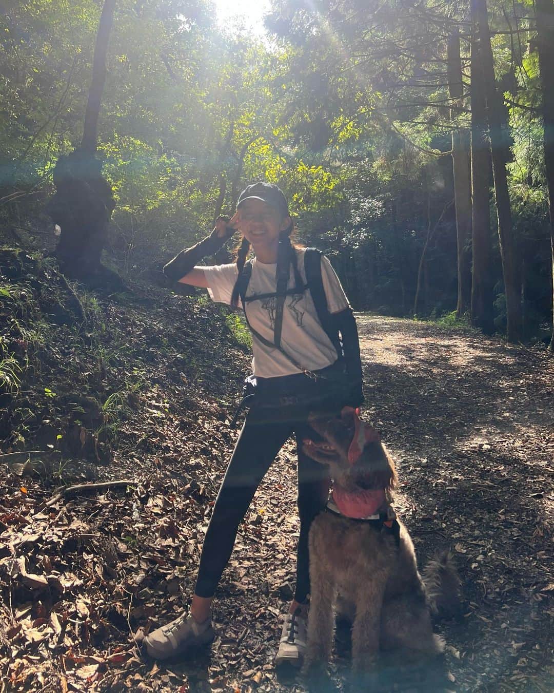 薮下柊さんのインスタグラム写真 - (薮下柊Instagram)「トレッキング日和でした⛰️☀️  新しく新調した @tevajapan のサンダルで沢渡りもへっちゃらでした〜✨  ポパイも自然大好きなので楽しそうでした〜！  最近涼しくなってきて嬉しいね😆🐾 しぜんは私たちの宝物🌱  #登山 #ハイキング #トレッキング #大型犬のいる生活」9月9日 20時00分 - __yabushita_shu__