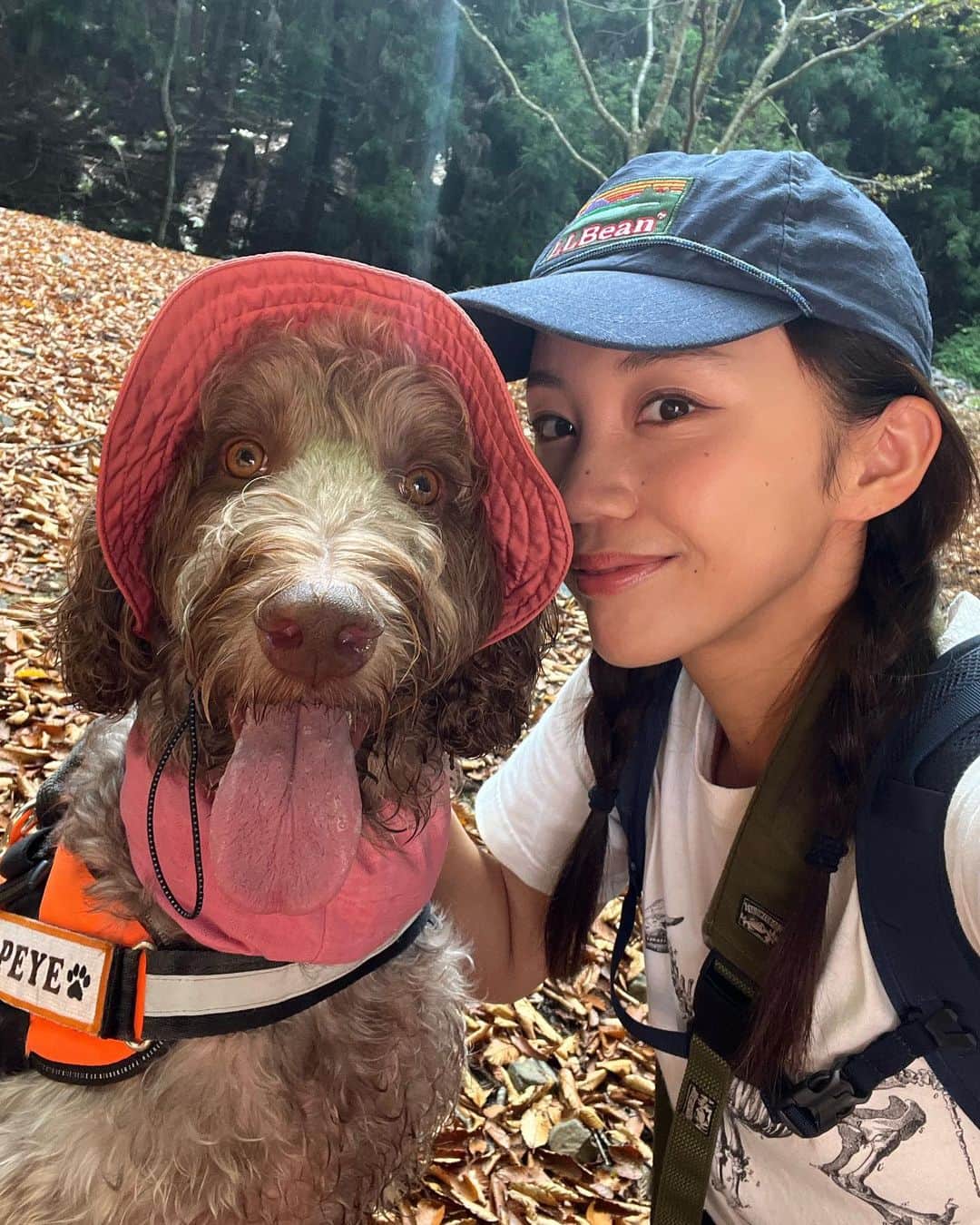 薮下柊さんのインスタグラム写真 - (薮下柊Instagram)「トレッキング日和でした⛰️☀️  新しく新調した @tevajapan のサンダルで沢渡りもへっちゃらでした〜✨  ポパイも自然大好きなので楽しそうでした〜！  最近涼しくなってきて嬉しいね😆🐾 しぜんは私たちの宝物🌱  #登山 #ハイキング #トレッキング #大型犬のいる生活」9月9日 20時00分 - __yabushita_shu__