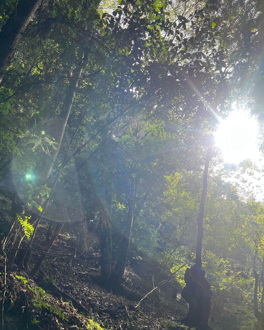 薮下柊さんのインスタグラム写真 - (薮下柊Instagram)「トレッキング日和でした⛰️☀️  新しく新調した @tevajapan のサンダルで沢渡りもへっちゃらでした〜✨  ポパイも自然大好きなので楽しそうでした〜！  最近涼しくなってきて嬉しいね😆🐾 しぜんは私たちの宝物🌱  #登山 #ハイキング #トレッキング #大型犬のいる生活」9月9日 20時00分 - __yabushita_shu__
