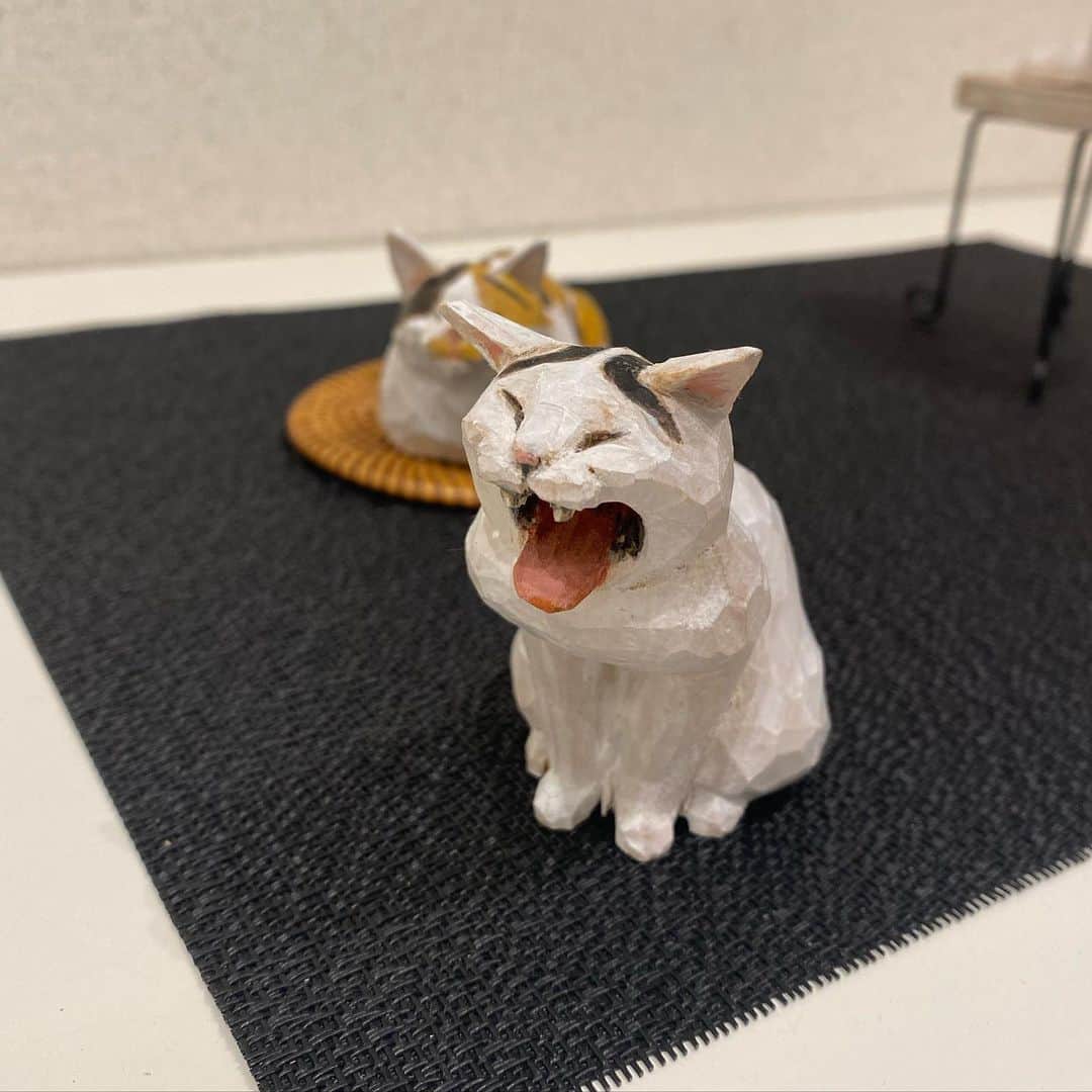 yamanekoさんのインスタグラム写真 - (yamanekoInstagram)「本日、ジャローナの個展最終日です。 連日沢山のご来場ありがとうございます！まるで猫好き集会です😹 5時までです😸  @jalona_akasaka」9月9日 14時53分 - yamaneko5656