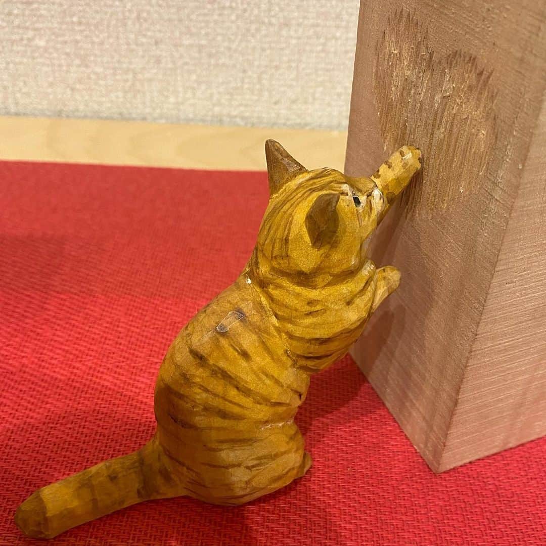yamanekoさんのインスタグラム写真 - (yamanekoInstagram)「本日、ジャローナの個展最終日です。 連日沢山のご来場ありがとうございます！まるで猫好き集会です😹 5時までです😸  @jalona_akasaka」9月9日 14時53分 - yamaneko5656