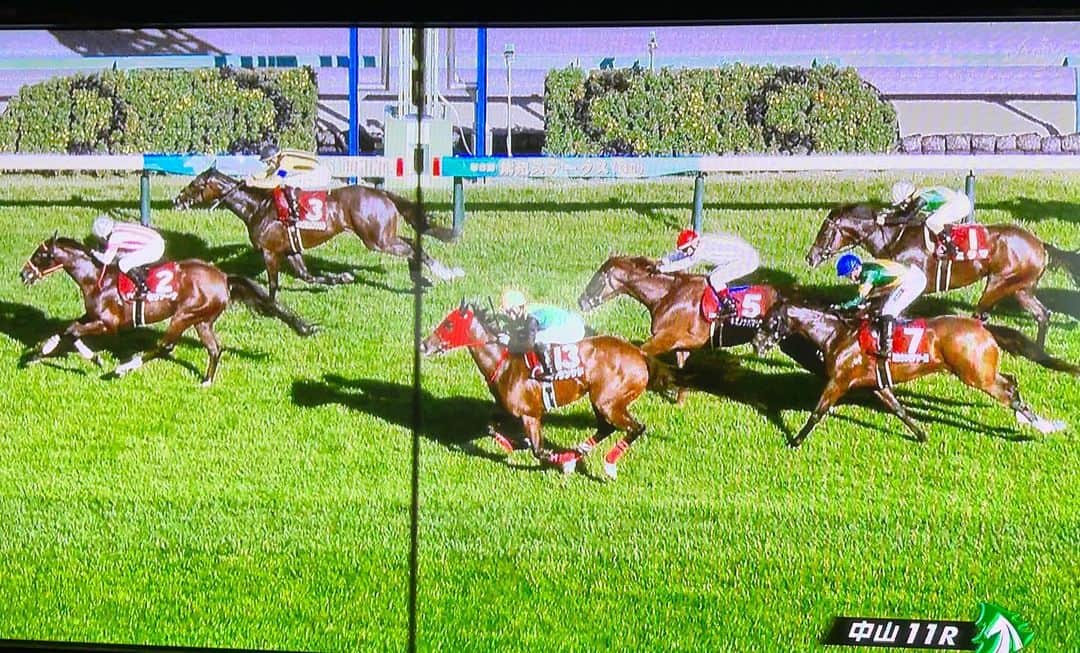 のインスタグラム：「カネやん競馬🏇  従弟の馬🐎 「シランケド」 が本日の中山競馬、11レースに出走🐎  見事3着‼️  次のG1 秋華賞に出るぞ〜🤭  知らんけど🤣🤣🤣  どや  #カネやん競馬 #カネやんファミリー #従弟が馬主 #シランケド #3着おめでとう #次はg1 #秋華賞だ #すごいすごい #どや」