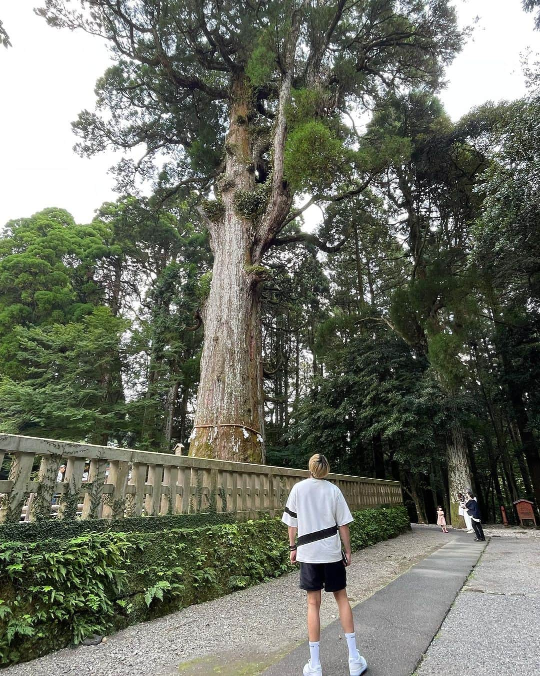 東江雄斗さんのインスタグラム写真 - (東江雄斗Instagram)「rest day👍👍 マイナスイオン感じました☺️」9月9日 15時58分 - yutoagarie