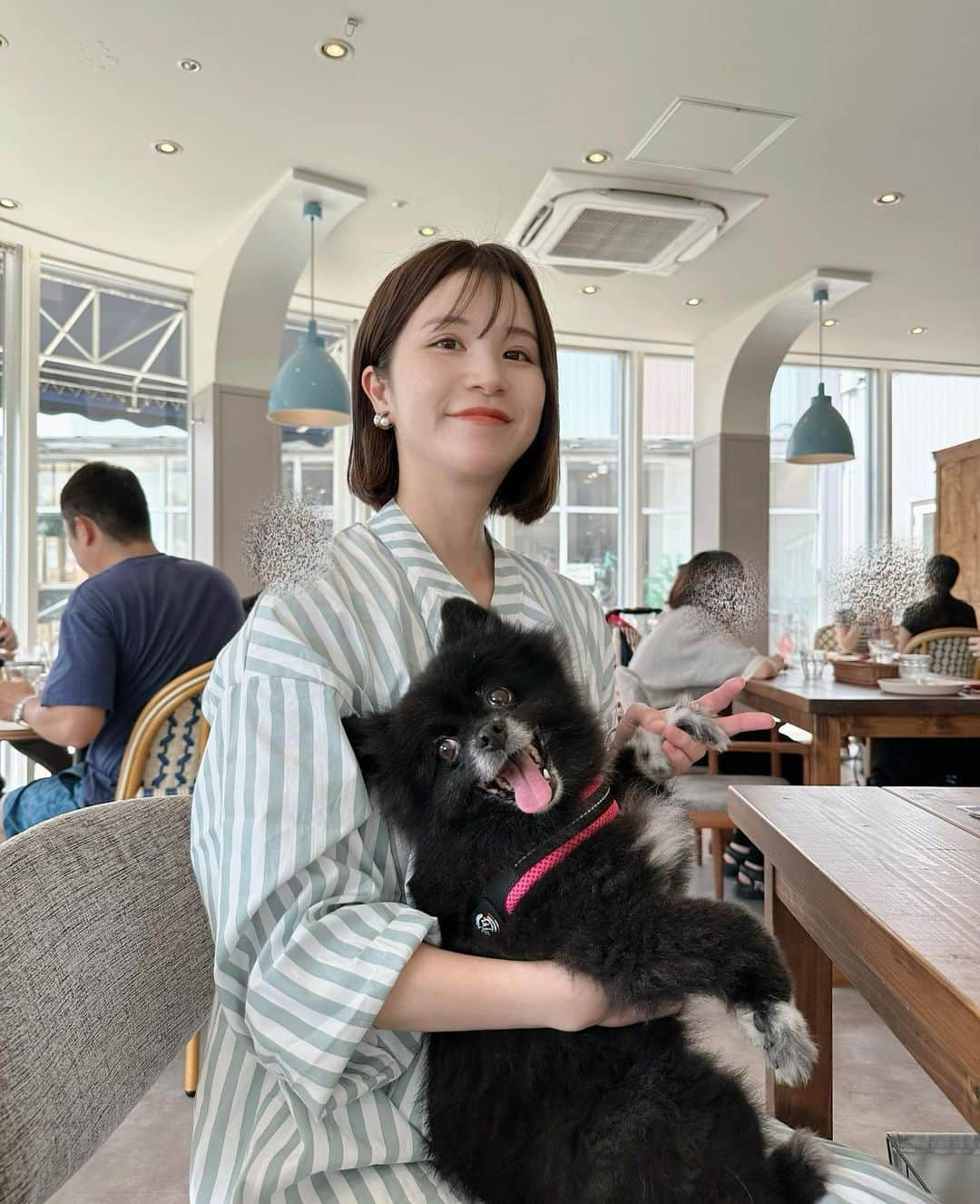 川島菜月さんのインスタグラム写真 - (川島菜月Instagram)「. . . 犬が苦手で逃げる＆吠えまくりだったたび山さんが 最近ドッグカフェに行けるようになったよ👍 . 年取って穏やかになるパターンの男でよかった！！ 人間だとたまにキレやすくなるパターンもあるからさ！ 介護士やってたとき話しかけたらぶん殴られたことある🤣 . . . #ドッグカフェ #犬のいる暮らし」9月9日 16時07分 - natsuki0624kia