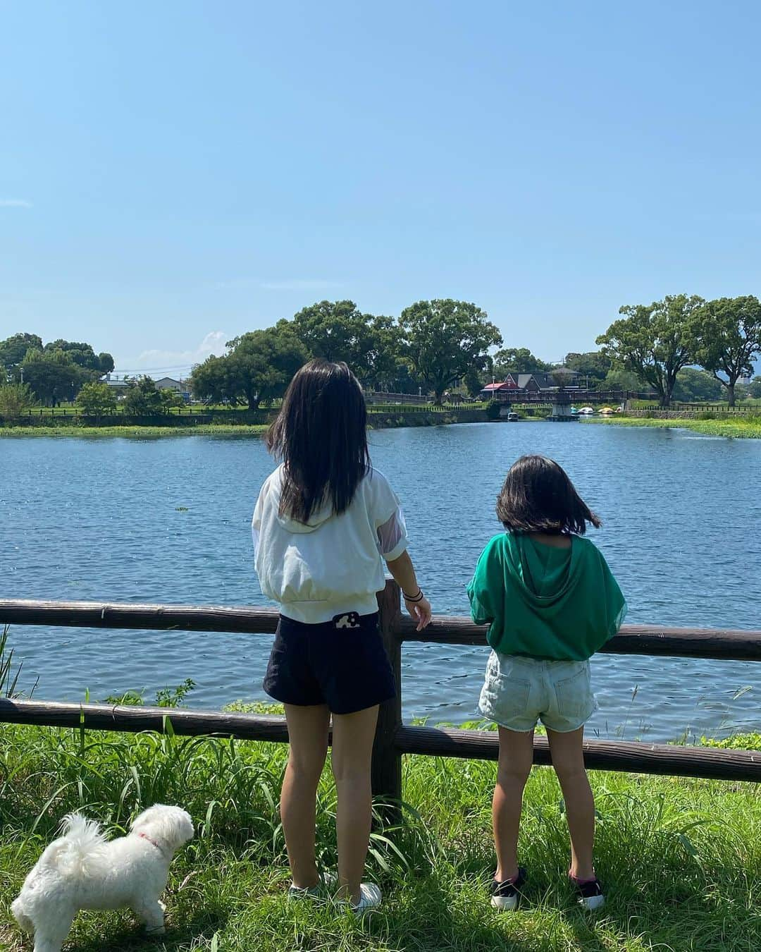 水元秀二郎さんのインスタグラム写真 - (水元秀二郎Instagram)「愛娘の休日 江津湖公園へ愛犬クゥを連れて散歩。 #水元秀二郎#愛娘#２人のエルサ#愛犬#水元クゥ#マルチワワ#江津湖」9月9日 16時35分 - gangsta.hidejiro