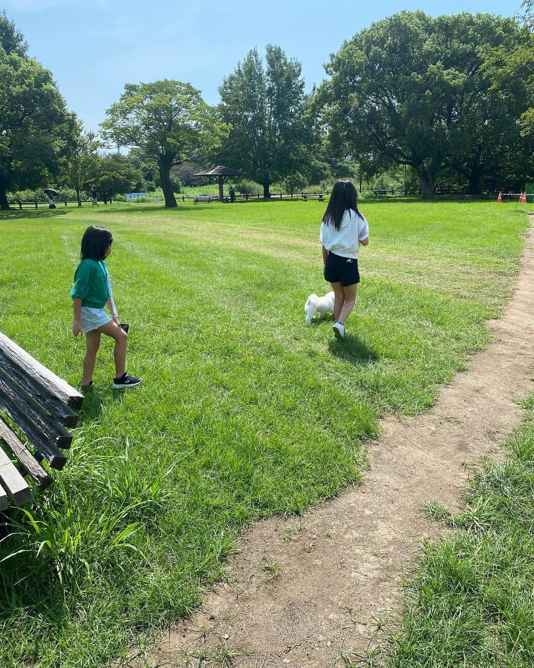 水元秀二郎さんのインスタグラム写真 - (水元秀二郎Instagram)「愛娘の休日 江津湖公園へ愛犬クゥを連れて散歩。 #水元秀二郎#愛娘#２人のエルサ#愛犬#水元クゥ#マルチワワ#江津湖」9月9日 16時35分 - gangsta.hidejiro