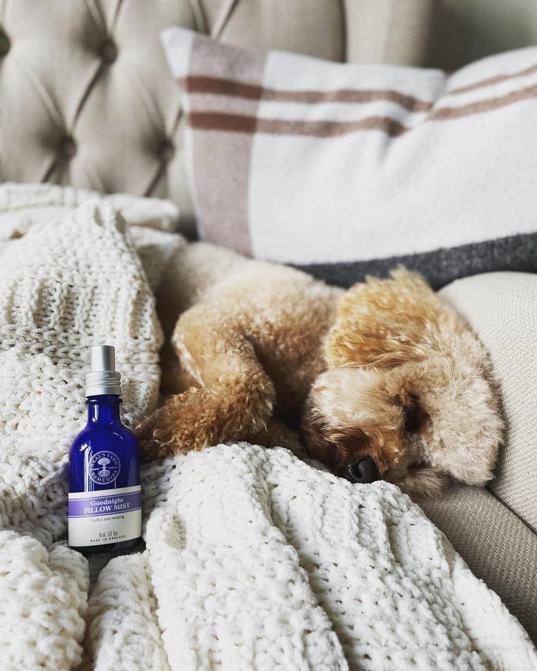 Neal's Yard Remediesのインスタグラム：「Wake up feeling refreshed with Goodnight Pillow Mist 💤💫⁠ ⁠ Say hello to the secret to better sleep. 🌙✨ Our award-winning Goodnight Pillow Mist is your ultimate bedtime companion, designed to transform your sleep from the very first night*. 💤🌿⁠ ⁠ 💆‍♀️ Restful and relaxing: Immerse yourself in the tranquil blend of organic lavender, vetiver, and mandarin essential oils. Experience a sense of calm that sets the stage for a peaceful night. ⁠ ⁠ Proven results🌙...⁠ ⁠ Improve Your Sleep from the Very First Night*⁠ 81% Found Goodnight Pillow Mist Helped Calm and Relax*⁠ 74% Found Goodnight Pillow Mist Aids a Peaceful Night's Sleep*⁠ 71% Would Recommend Goodnight Pillow Mist to Someone with Sleep Issues*⁠ 69% Fell Asleep Quicker*⁠ ⁠ *Based on a consumer trial of 100 participants⁠ ⁠ Tap to shop.⁠ ⁠」