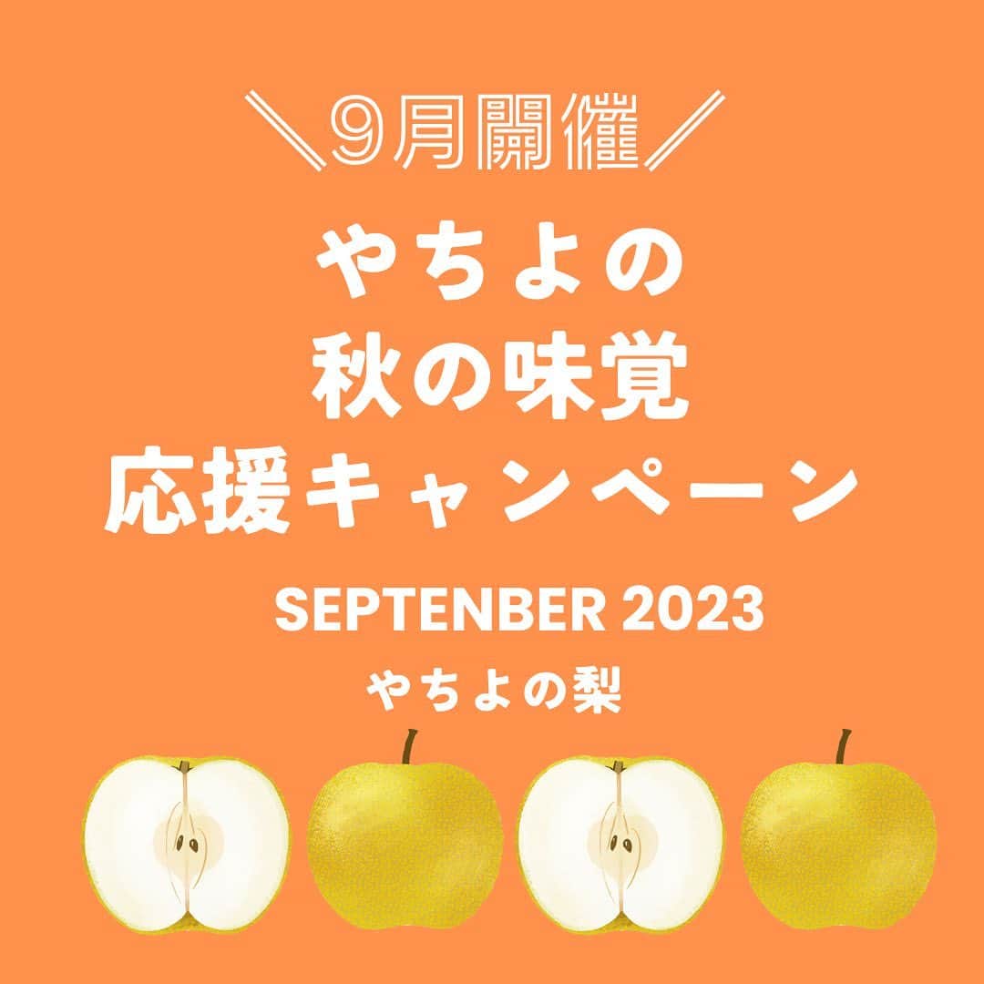 道の駅やちよのグルメインスタ