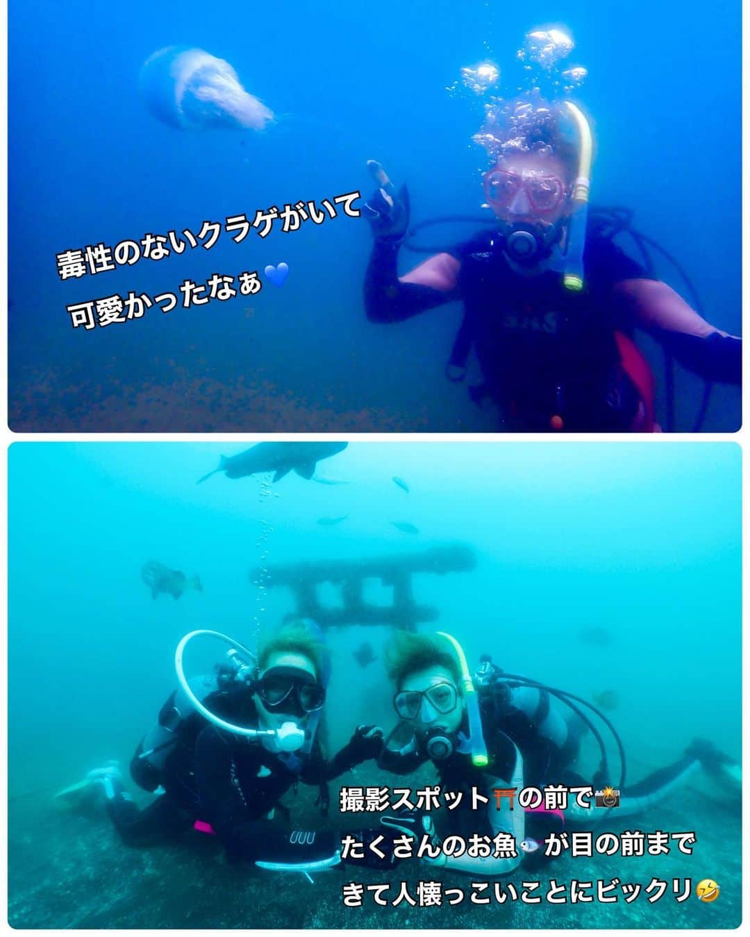 mizuさんのインスタグラム写真 - (mizuInstagram)「🤿🐠🫧  静岡県伊豆の大瀬崎で ダイビングショップアバロさんに お願いして、人生初のダイビング 体験をしてきました🤗 @diving_abaro   インストラクターさんが @senamaru.diving  海中での注意点を丁寧に説明してくれたので安心して潜れました🧜‍♀️🫧  海中でもインストラクターさんが、耳抜きの確認や状況の確認を 磁石ボードでその都度聞いてきてくれたし、手をとりリードしてくれたのでほんと心強かったなぁ☺️  海中世界に魅力された1日☺️💙 まだ見たこともない生き物を見つけたり、また綺麗な海で潜ってみたいな🌏  ／／ Diving Shop ABARO 住所：〒424-0871　 静岡県静岡市清水区上原2-5-8 TEL：054-689-7441 FAX：054-689-7441 ＼＼  PR @diving_abaro #ダイビングショップアバロ #静岡ダイビング #体験ダイビング #ダイビング体験 #静岡ダイビングショップ #静岡市ダイビングショップ #スキューバダイビング」9月9日 17時41分 - 727mizu_fit