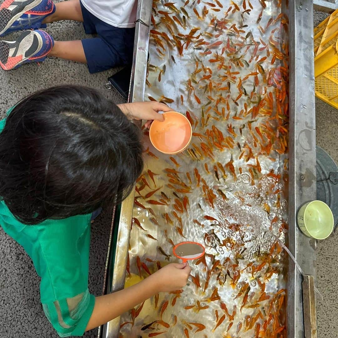 水元秀二郎さんのインスタグラム写真 - (水元秀二郎Instagram)「愛娘の夏休み 山鹿灯籠祭りへ 初の金魚すくいもして、千人灯籠踊り見て。 残すはハウステンボスと俺たちのキャンプ‼️ #水元秀二郎#愛娘#２人のエルサ#夏休み#山鹿灯籠#千人灯籠踊り#やまさんキッチン」8月17日 2時03分 - gangsta.hidejiro