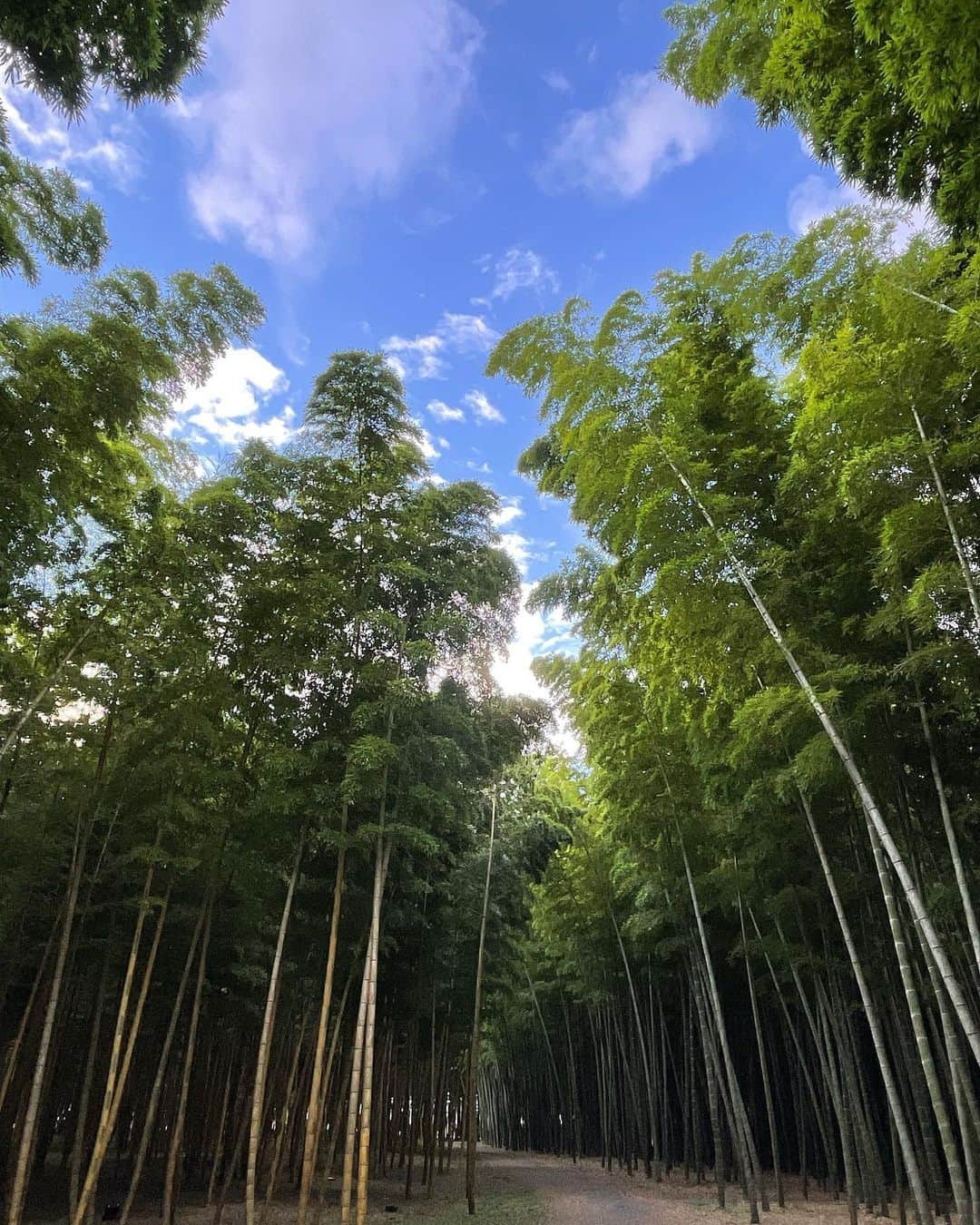 ちはるのインスタグラム：「⁡ ⁡ ⁡ 弾丸宇都宮旅🥟 避暑地な所多くでいい場所だった！！🎋」