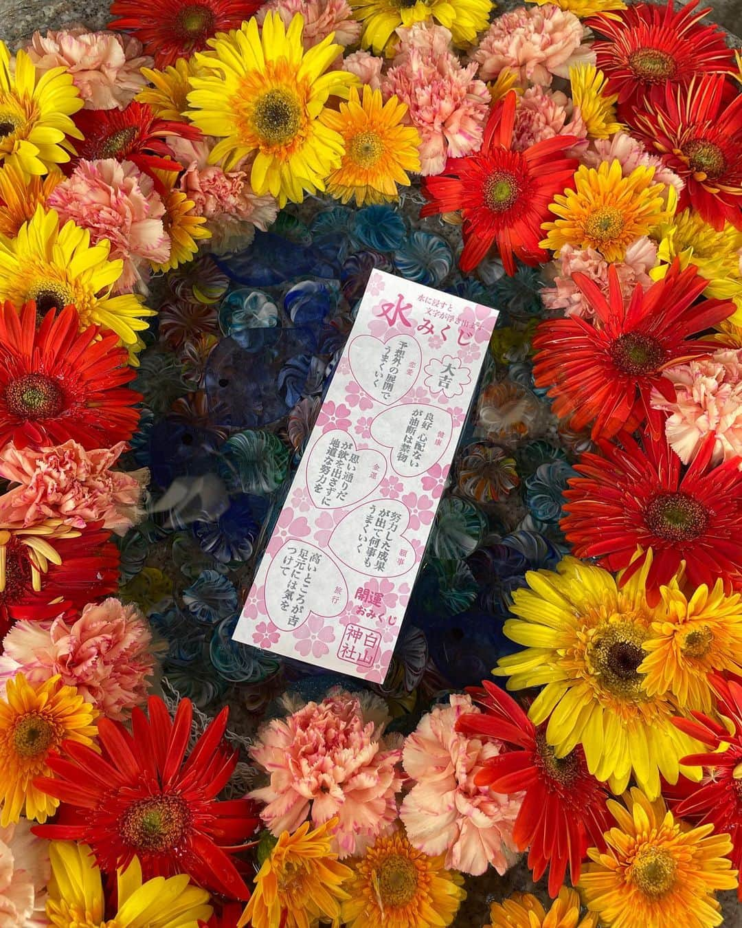 花音舞のインスタグラム：「白山神社⛩️  夏休みに行ってきたよ🌻 白山神社⛩️で水みくじしたら… 大吉だったの😎❤️  蓮祭🪷もしてた✨  #運気爆上げ  #白山神社  #大吉 #水みくじ  #蓮 🪷 #祭り」