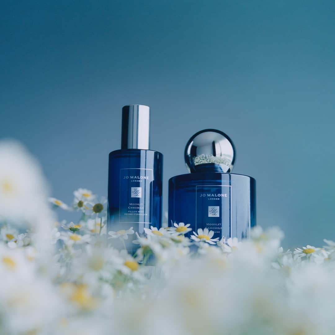 Jo Malone Londonさんのインスタグラム写真 - (Jo Malone LondonInstagram)「The enchanting freshness of feathery English camomile leaves mingling with blue moonflowers. Set the tone for a night’s rest by immersing yourself in Moonlit Camomile. Tap to shop. #TheNightCollection」8月16日 19時00分 - jomalonelondon
