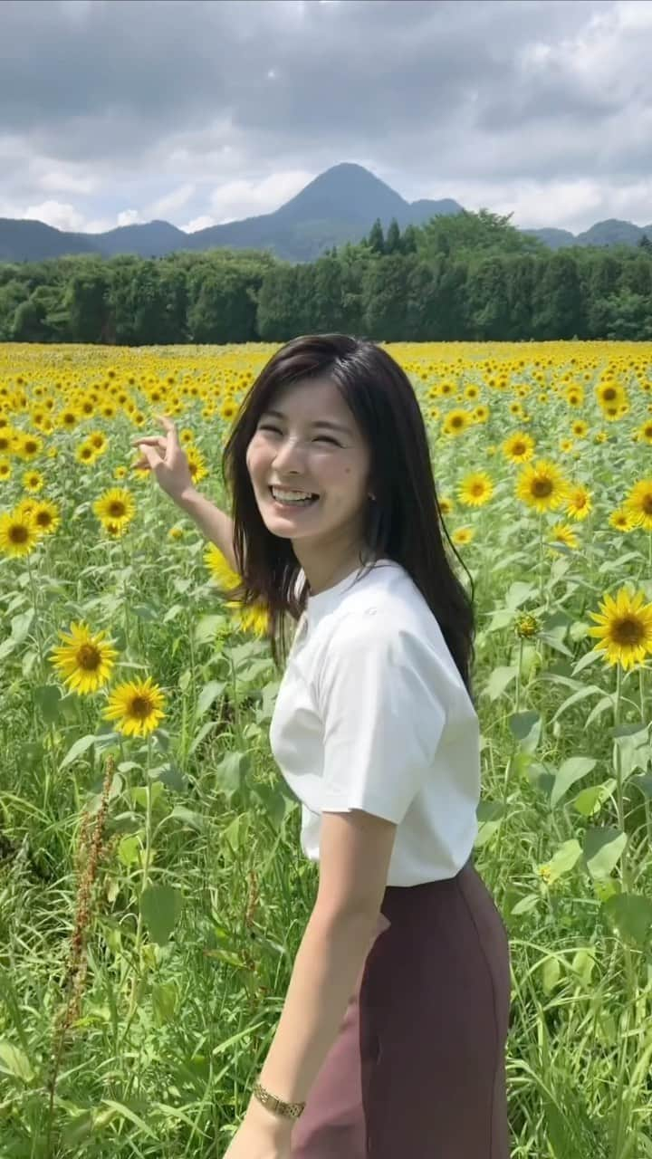 住本結花のインスタグラム：「矢巾町のヒマワリ畑へ🌻 今日取材で行ってきました〜 空の青！山の緑！ヒマワリの黄色！辺り一面夏色でした〜 萎れている所もありましたが、奥の方に行くと元気な花が多かったです 今週いっぱいは楽しめるそうですが、行く方は暑さ対策が必須です…🧊   #岩手めんこいテレビ #めんこいテレビ #アナウンサー #住本結花　#岩手県　#岩手　#盛岡　#iwate #morioka #矢巾町　#矢巾のひまわり畑  #煙山ひまわりパーク #ヒマワリ　#ヒマワリ畑　#ひまわり　#ひまわり畑　#向日葵　#向日葵畑　#夏」