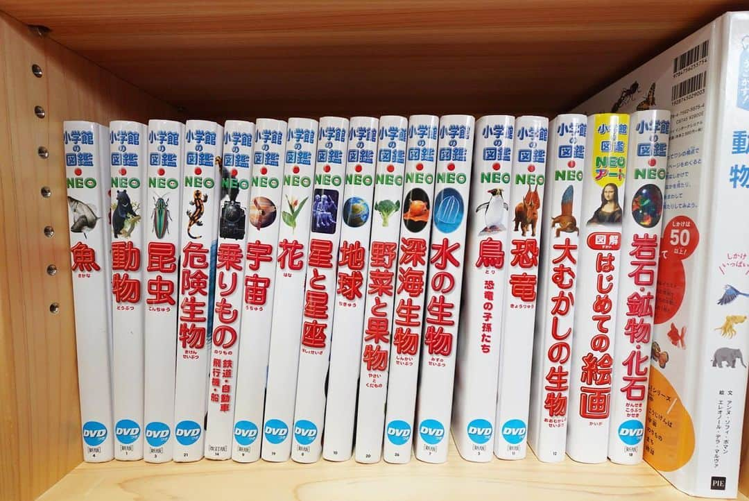田中麻衣のインスタグラム：「リビングのソファの近くに本棚を2つ置いています。  我が家は、 絵本や本はたくさん買っていいとしていて、大体週に一度は子どもたちと本屋さんへ行きます。  仕掛け絵本だったり、普通の絵本だったり、音が鳴るような絵本だったり、様々ですが、子どもたちも毎日必ずたくさんの本を読みます。  買ってよかった本はたくさんありますが、中でも小学館の図鑑シリーズは本当に毎日毎日必ず読むお気に入り。  最初は5冊ほど購入し、 長男が毎日のように読みたがるので、どんどん追加購入。  長男は恐竜が大好きで、最初は恐竜図鑑ばかり見ていました。 どこかのタイミングで、恐竜だけではなく恐竜を取り巻くものも気になり始めたようで 恐竜が食べる虫や魚のことも知りたい→昆虫図鑑・魚図鑑読む 恐竜より前の時代、後の時代に生きていたものが知りたい→古代生物図鑑読む 鳥も元は恐竜だった→鳥図鑑読む 恐竜の化石を詳しく見たい→岩石鉱物化石図鑑読む 恐竜は今はいないけど恐竜のように恐ろしい現代の生き物が知りたい→危険生物図鑑読む 恐竜絶滅理由の''隕石が地球に落ちた''ってなに？→地球図鑑読む 地球の外の世界はどんなものか知りたい→宇宙図鑑読む  というように、 買ったものはほぼ読みたがるし、今後も増えていくであろうシリーズ。  大人が見ても面白いのはもちろんだし、初めて知ることが多くて勉強になります！🥸  重たいし、本棚の一番下の段に並べているので手にとりやすく、わからないことがあればすぐ一緒に開く。  ひとつ調べれば、またすぐ新たな疑問が生まれて、また一緒に調べる。 知識が増えるって、たのしいよね。  この先も長く読み続けるだろうし、本当買ってよかった、お子さんがいるママたちに全力でおすすめなシリーズです！！✨✨」