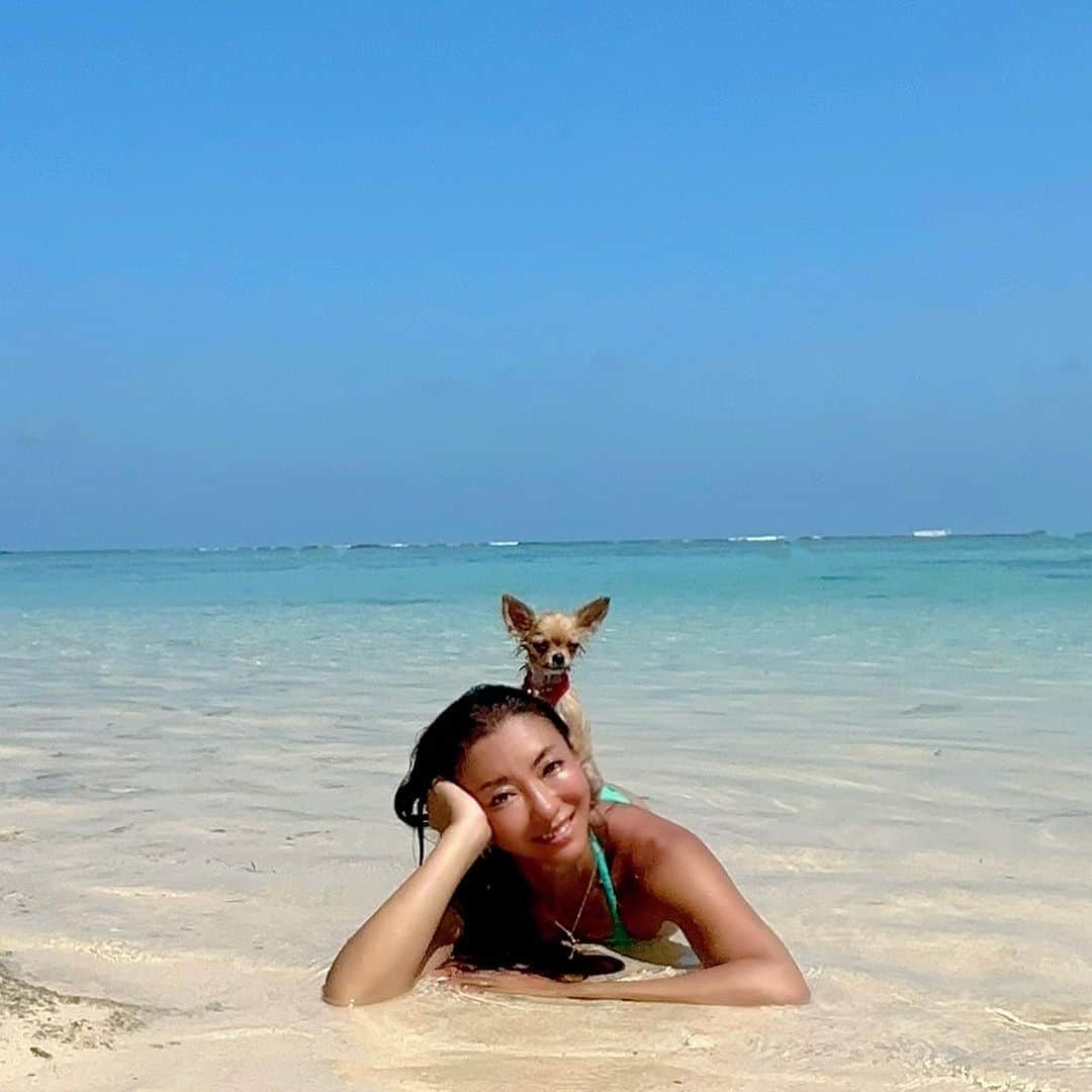 福田朋夏さんのインスタグラム写真 - (福田朋夏Instagram)「海好きな犬達になるように特訓しよう✨ 夢はシュノーケルする私の背中に犬が乗っかりながら海を移動して、一緒に海を楽しむ事なんです🥺  #freediving #chihuahua #チワワ　#okinawa #islandlife」8月16日 19時28分 - tomoka_fukuda