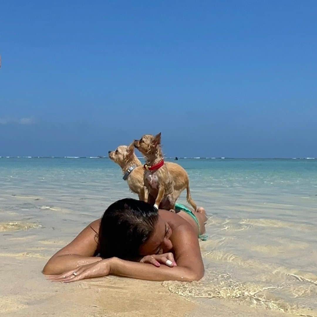 福田朋夏さんのインスタグラム写真 - (福田朋夏Instagram)「海好きな犬達になるように特訓しよう✨ 夢はシュノーケルする私の背中に犬が乗っかりながら海を移動して、一緒に海を楽しむ事なんです🥺  #freediving #chihuahua #チワワ　#okinawa #islandlife」8月16日 19時28分 - tomoka_fukuda