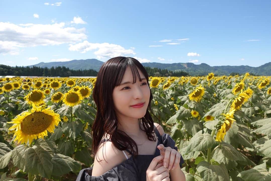 大塚七海のインスタグラム：「津南にあるひまわり広場🌻  視界いっぱいに広がるひまわりを楽しみました🤭 中にある迷路は迷いました🤭  にこにこひまわり可愛いでしょ🥰💞 #ひまわり広場　#ひまわり畑 #津南　#新潟」