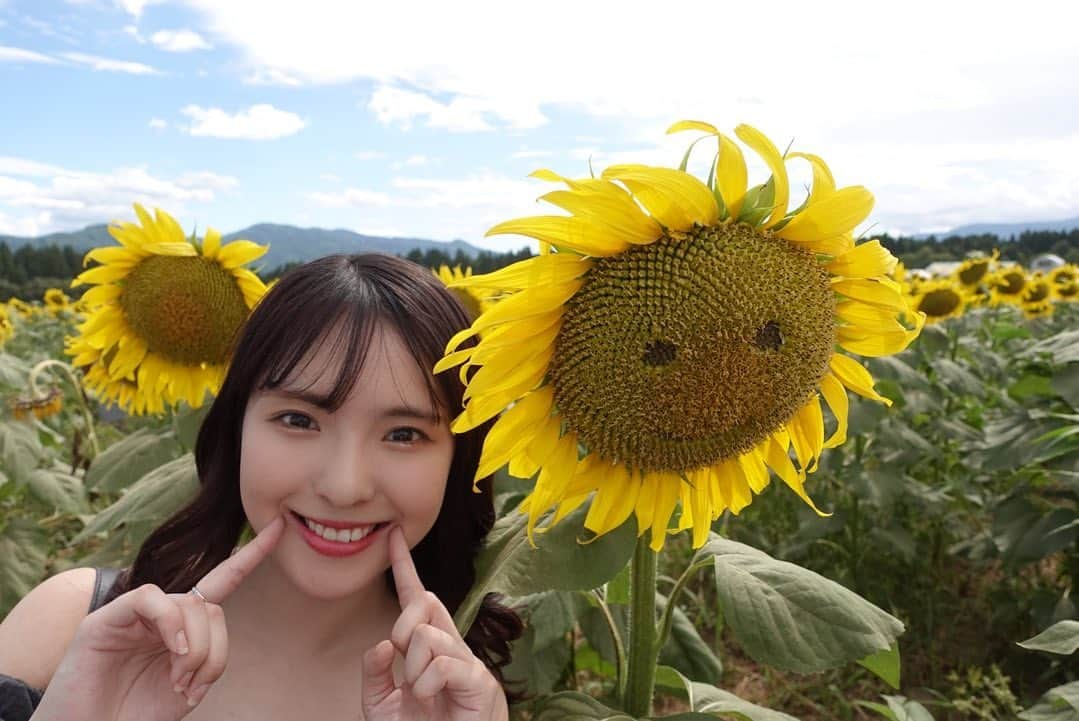 大塚七海さんのインスタグラム写真 - (大塚七海Instagram)「津南にあるひまわり広場🌻  視界いっぱいに広がるひまわりを楽しみました🤭 中にある迷路は迷いました🤭  にこにこひまわり可愛いでしょ🥰💞 #ひまわり広場　#ひまわり畑 #津南　#新潟」8月16日 19時34分 - otsuka773_ngt48