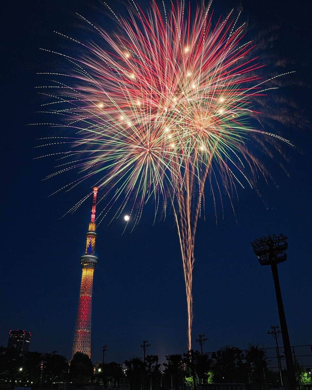 墨田区のインスタグラム：「花火が創り出す夜空の幻想、その美しさは言葉を超えて🌠   撮影者：　#すみだカメラ部１０選　@britzen_2021  #墨田区#すみだ#sumida#東京#tokyo#わたしのすみだ自慢#これもすみだのシティプロモーション #隅田川花火大会 #夏の風物詩#隅田川の夜空#花火絶景#夏祭り#隅田川夜景#花火とスカイツリー#花火#夏の思い出#東京夏の夜 #１万人フォロワーありがとう　#祝1万人フォロワー」