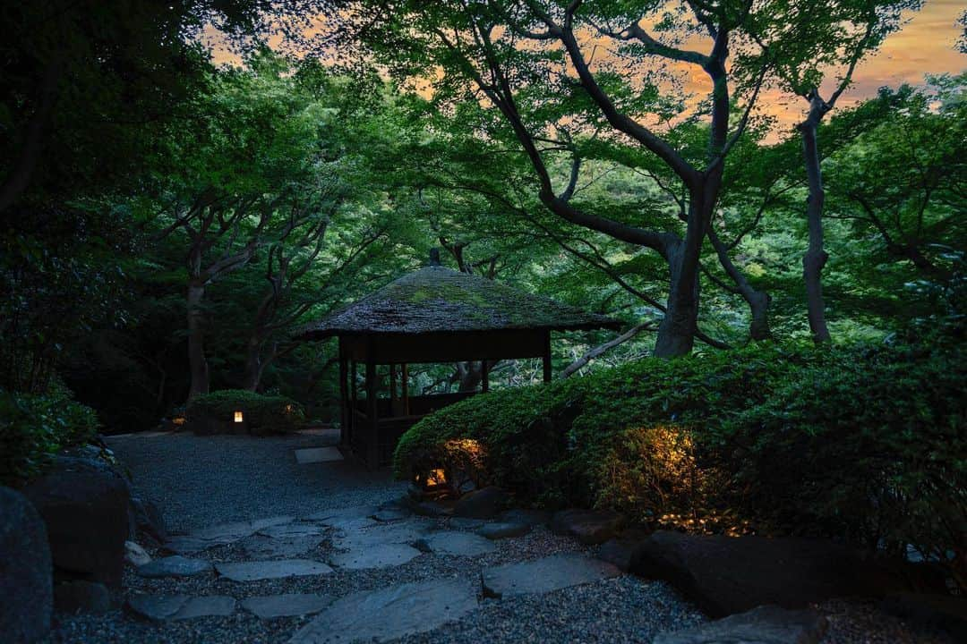 八芳園さんのインスタグラム写真 - (八芳園Instagram)「季節を表す七十二候では立秋の次候、「寒蝉（ひぐらしなく）」の頃。  ヒグラシがよく鳴くのは日の出前や日没後の薄暗い時間帯ですが、気温が下がると日中でも鳴くようになるそうです。  まるで夏の終わりを告げるかのような、どこか懐かしくすこし切ないヒグラシの声に耳を傾けてみてください。  ———————————–  夏季休業のお知らせ🎐  八芳園本館は、8月7日(月) 〜 8月17日(木)まで夏季休業期間とさせていただきます。  各店舗の休業期間につきましてはストーリーズハイライトをご確認ください。  ———————————–  #八芳園 #happoen #七十二候 #寒蝉鳴 #立秋 #日本庭園 #庭園 #flowerstagram #flower_daily #日本の風景  #カメラ部 #キリトリセカイ #カメラ好きな人と繋がりたい #ファインダー越しの私の世界 #イマソラ #夕暮れ #ゆうやけこやけ部 #夕陽 #夕日   #japanesegarden #tokyotokyo #tokyotrip #japan_of_insta #jp_mood #jp_gallery #dreamyphoto #wonderful_places #bestphoto_japan #sunset #sunsetlovers」8月16日 20時04分 - happoen