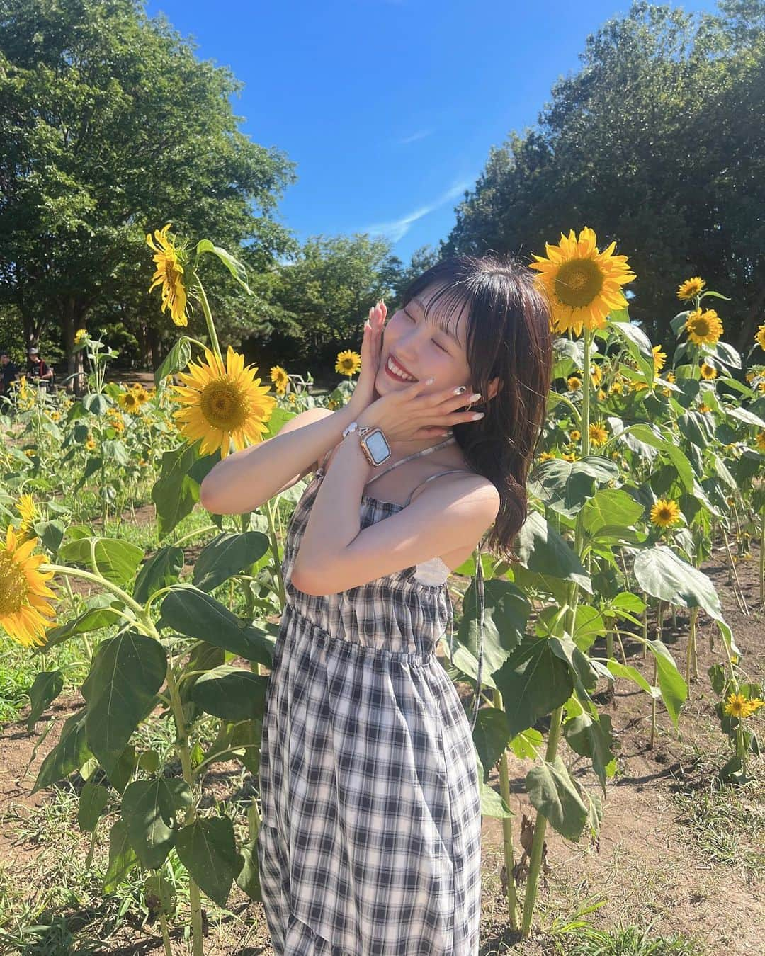 星野理沙さんのインスタグラム写真 - (星野理沙Instagram)「🌻  ついにひまわり畑に行けた🌻 たくさん咲いてた🌻 めちゃ暑かった🌞でもいい写真！  ひまわり、黄色だから好きなのもあるんだけど、1輪の存在感って意味でも好きだし見るだけで明るい気持ちにしてくれるから好き！  衣装の黄色オーダーする時大体ひまわりっぽい黄色でオーダーしてたりしたよ〜星野理沙の黄色はレモンイエローでもパステルイエローでもないのだ、、好きだけどね！謎のこだわりです👍  明日は電話特典会があります☎️ 告知する前に完売してた😢ごめんね 次は29日にあって、そちらはまだありますのでぜひチェックしてみてください🪄  にしてもこのワンピースお気に入りすぎる、暑すぎて袖ない服しか着れない、むちむちだけどね、 似合ってるーー？  #ひまわり #向日葵畑 #ひまわり畑 #chico #ボブ #ミディアムヘア #アイドル #暗髪 #自撮り #idol #japaneseidol #instalike #instagood」8月16日 20時58分 - chanrisa_____