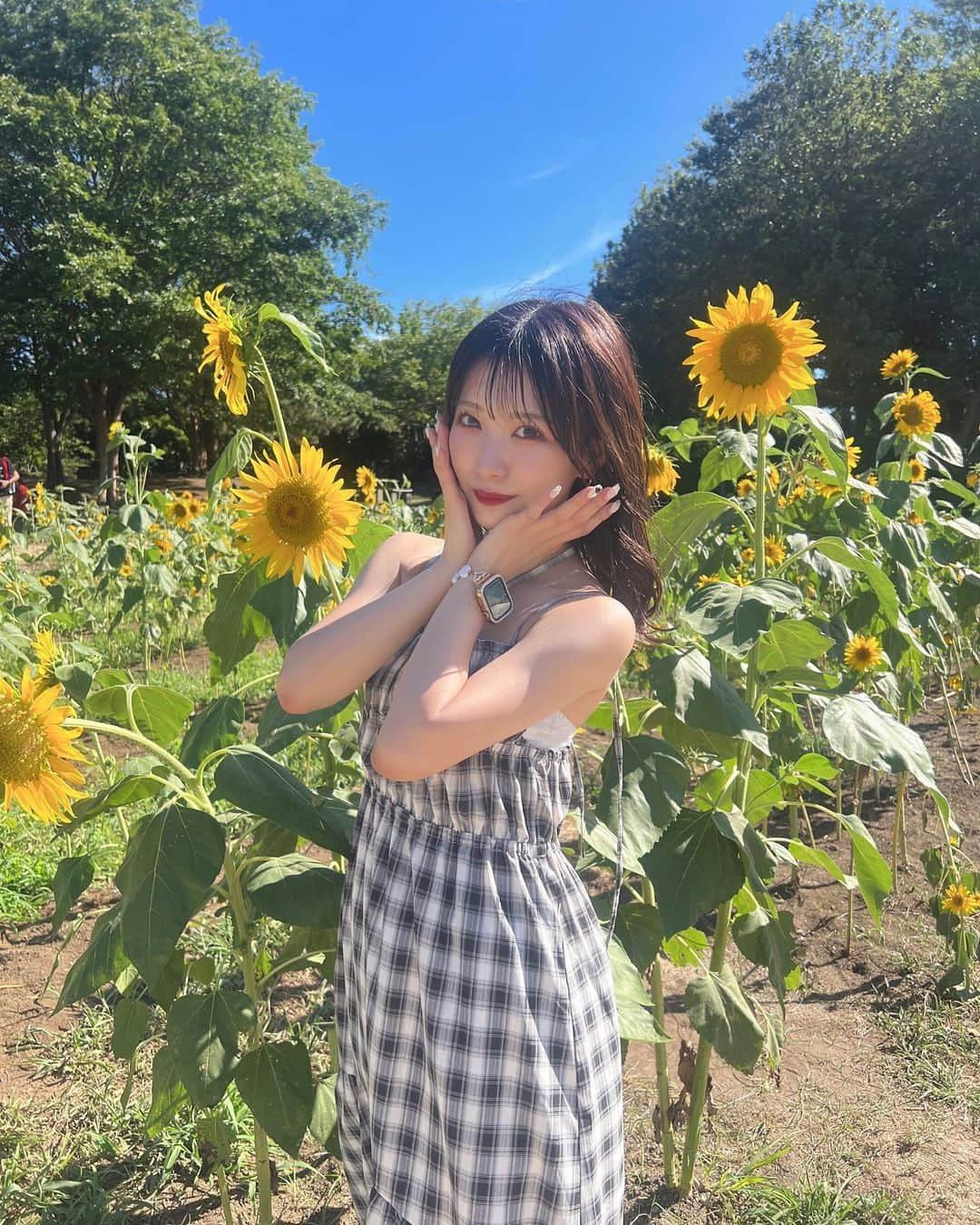 星野理沙さんのインスタグラム写真 - (星野理沙Instagram)「🌻  ついにひまわり畑に行けた🌻 たくさん咲いてた🌻 めちゃ暑かった🌞でもいい写真！  ひまわり、黄色だから好きなのもあるんだけど、1輪の存在感って意味でも好きだし見るだけで明るい気持ちにしてくれるから好き！  衣装の黄色オーダーする時大体ひまわりっぽい黄色でオーダーしてたりしたよ〜星野理沙の黄色はレモンイエローでもパステルイエローでもないのだ、、好きだけどね！謎のこだわりです👍  明日は電話特典会があります☎️ 告知する前に完売してた😢ごめんね 次は29日にあって、そちらはまだありますのでぜひチェックしてみてください🪄  にしてもこのワンピースお気に入りすぎる、暑すぎて袖ない服しか着れない、むちむちだけどね、 似合ってるーー？  #ひまわり #向日葵畑 #ひまわり畑 #chico #ボブ #ミディアムヘア #アイドル #暗髪 #自撮り #idol #japaneseidol #instalike #instagood」8月16日 20時58分 - chanrisa_____