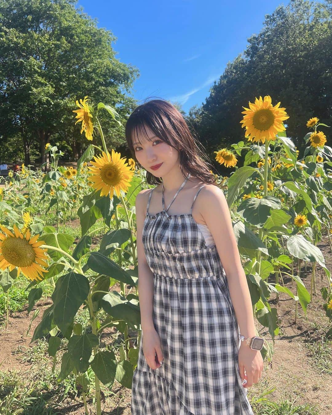 星野理沙のインスタグラム：「🌻  ついにひまわり畑に行けた🌻 たくさん咲いてた🌻 めちゃ暑かった🌞でもいい写真！  ひまわり、黄色だから好きなのもあるんだけど、1輪の存在感って意味でも好きだし見るだけで明るい気持ちにしてくれるから好き！  衣装の黄色オーダーする時大体ひまわりっぽい黄色でオーダーしてたりしたよ〜星野理沙の黄色はレモンイエローでもパステルイエローでもないのだ、、好きだけどね！謎のこだわりです👍  明日は電話特典会があります☎️ 告知する前に完売してた😢ごめんね 次は29日にあって、そちらはまだありますのでぜひチェックしてみてください🪄  にしてもこのワンピースお気に入りすぎる、暑すぎて袖ない服しか着れない、むちむちだけどね、 似合ってるーー？  #ひまわり #向日葵畑 #ひまわり畑 #chico #ボブ #ミディアムヘア #アイドル #暗髪 #自撮り #idol #japaneseidol #instalike #instagood」