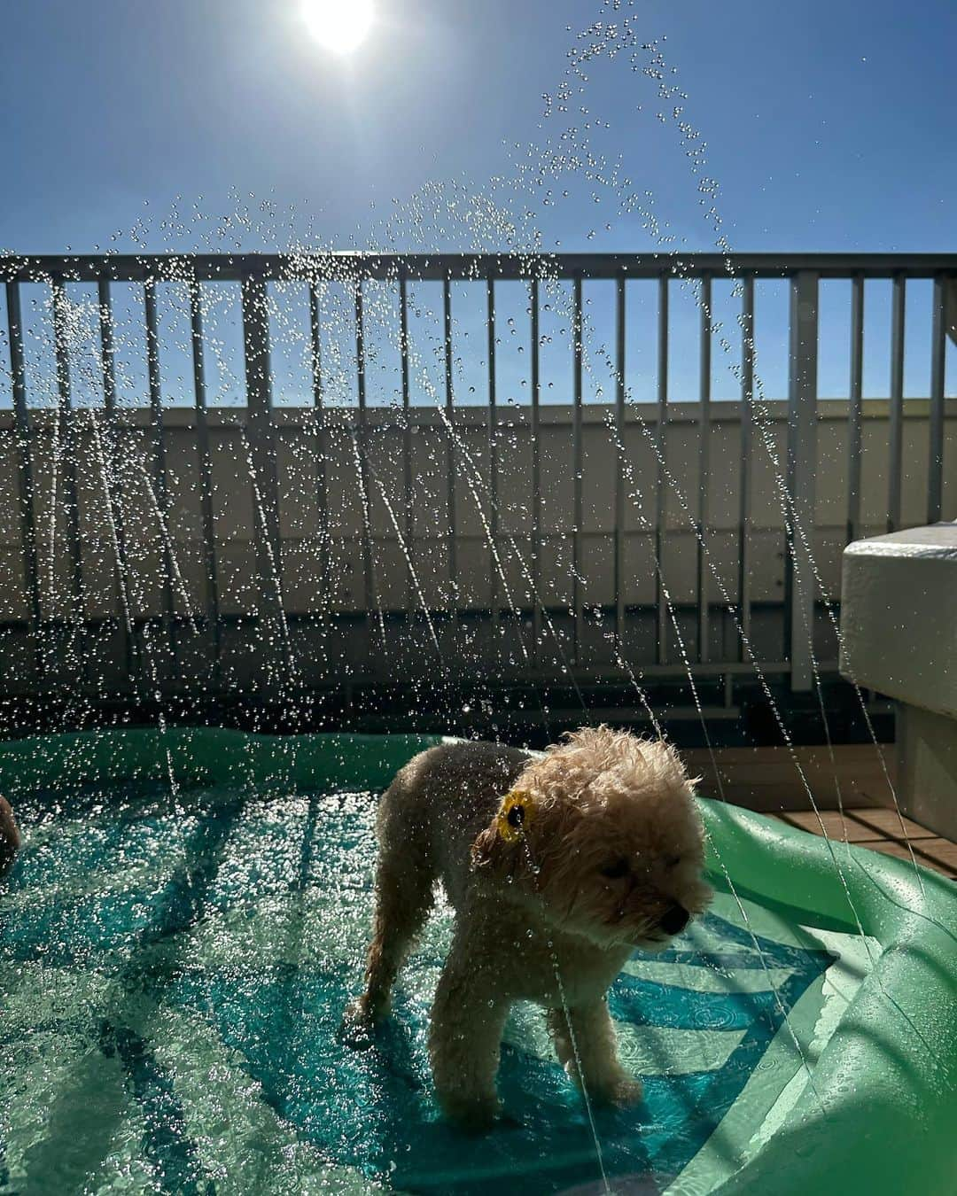 megbabyさんのインスタグラム写真 - (megbabyInstagram)「わたしのなつやすみ☀️🌈  毎日おうちプールして おうちお砂場も作って バーベキュー🍖もして いっぱい笑ったなつやすみ👩🏻👦🏻  あなたがいれば 毎日が特別❤️ いつもありがとう🫶」8月16日 21時28分 - _megbaby_