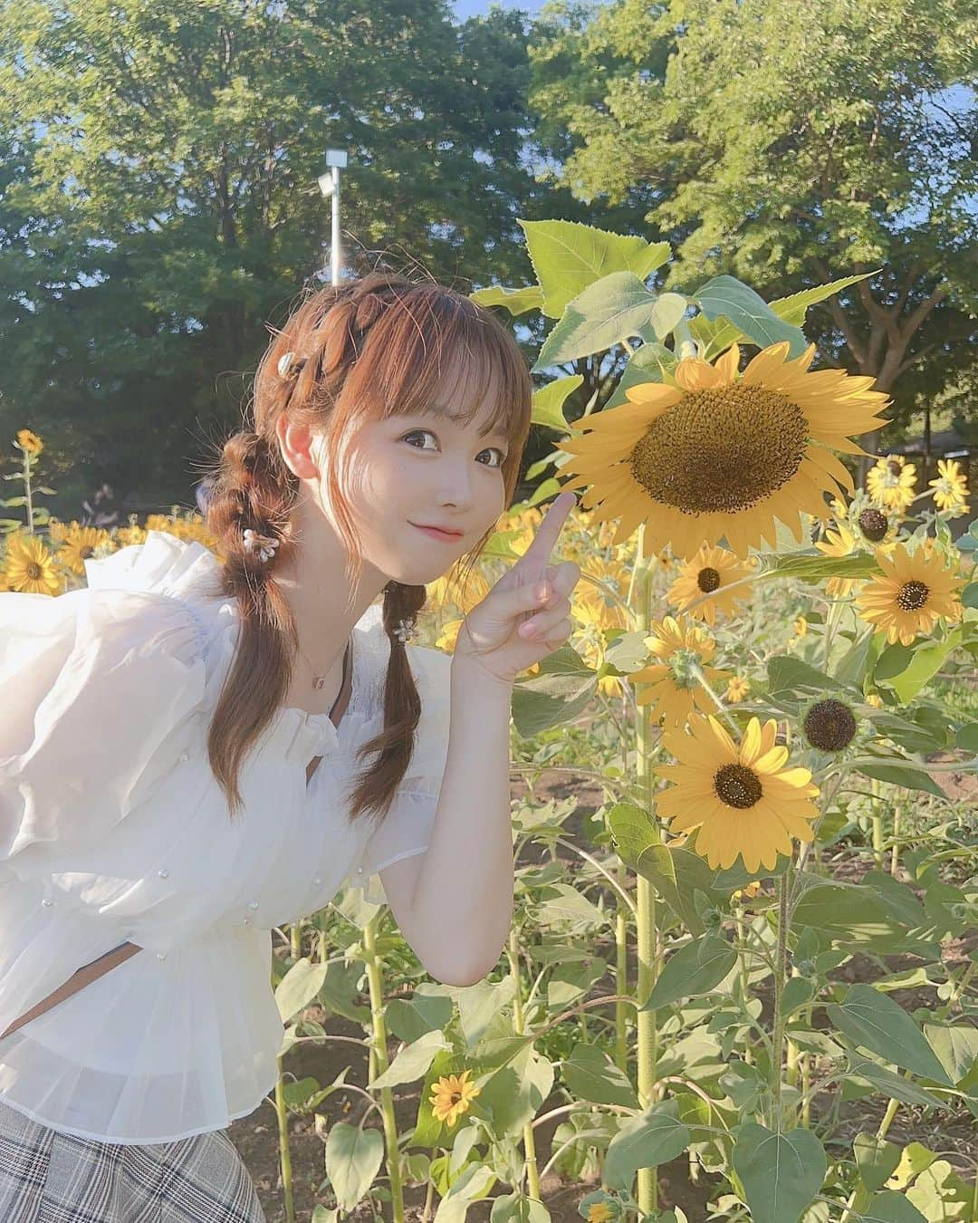 ハルナさんのインスタグラム写真 - (ハルナInstagram)「☁️ ． ⁡ ひまわりが一番すき🌻♡ ⁡ ． ． #過去pic #ひまわり畑 #葛西臨海公園 #私服コーデ #夏コーデ #三つ編みアレンジ #フォロー #いいね返し #좋아요 #좋아요환영‪ #photography #likesforlike #instalike #followers #followforfollowback #nippon #japan #fashion #fashionstyle #japanesegirl #instagood #instamood」8月16日 21時38分 - haruna_h616