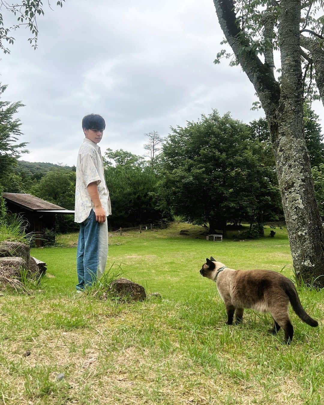 大城光さんのインスタグラム写真 - (大城光Instagram)「沢下りした時の俺🌳  誰か助けそうな感じが否めない😂  途中で目が青い可愛い猫ちゃんが急に現れ行くところについてきてくれたんだけどジブリかと思った😂  君、猫の恩返しとか出てたよね?  #マジプリ #大城光 #沢下り#川下り #キャニオニング  #三重県 #亀山  #xadventure  #Ztv #hikarugram  #猫のいる暮らし #猫の恩返し」8月16日 21時56分 - hikaru_oshiro0704