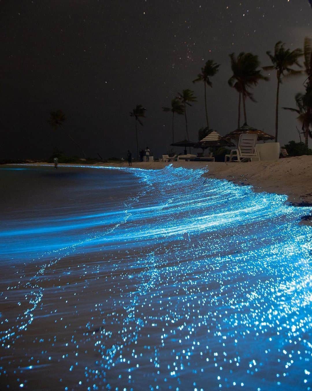 Discover Earthさんのインスタグラム写真 - (Discover EarthInstagram)「Unveiling the ...