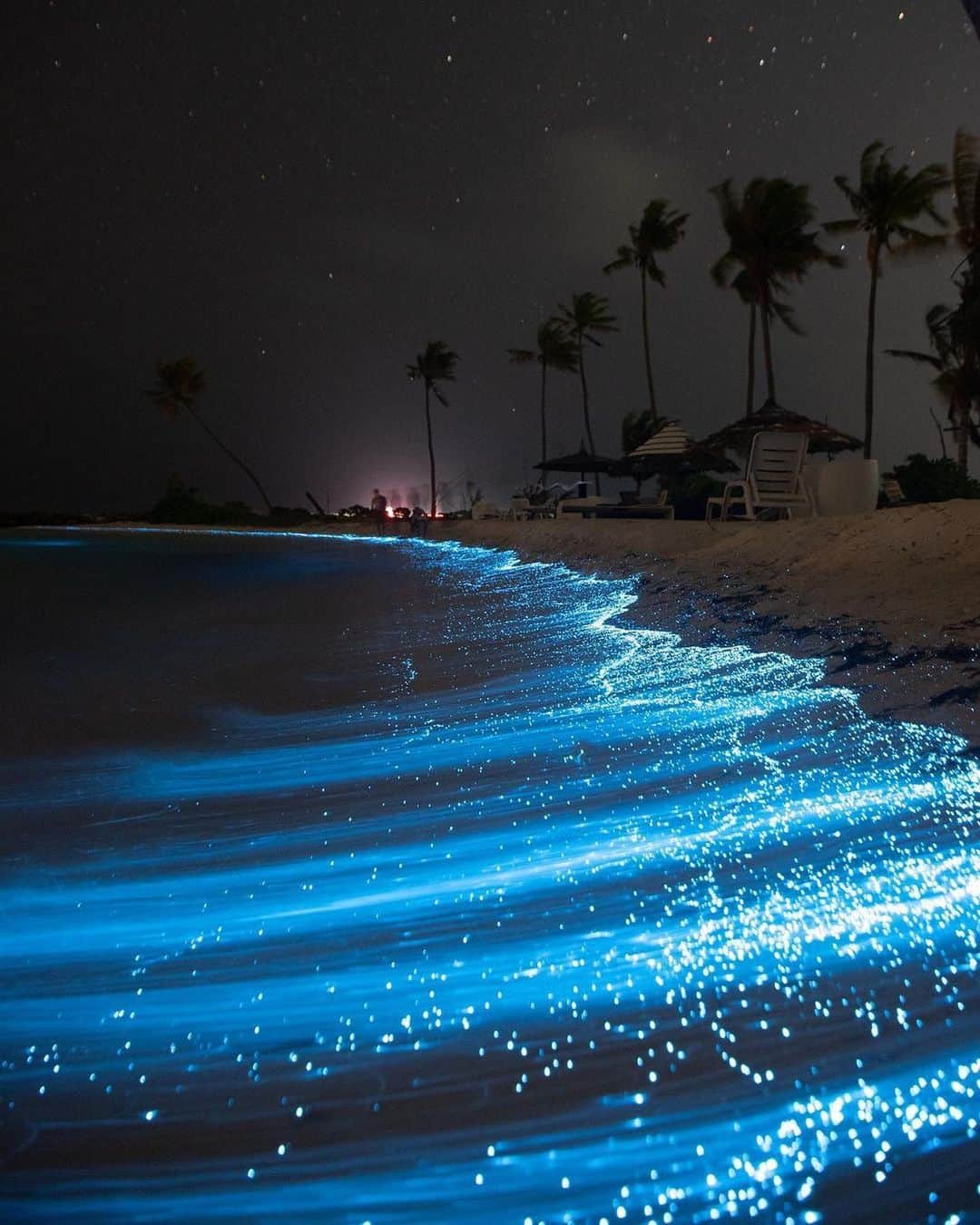 Discover Earthのインスタグラム：「Unveiling the secret lightkeepers of the ocean 🌊✨ Can you believe these breathtaking bioluminescent displays are the work of tiny marine creatures? Swipe to witness the magic captured in every frame! 📸  📍Maldives  🇲🇻 #DiscoverMaldives with @nihthu」
