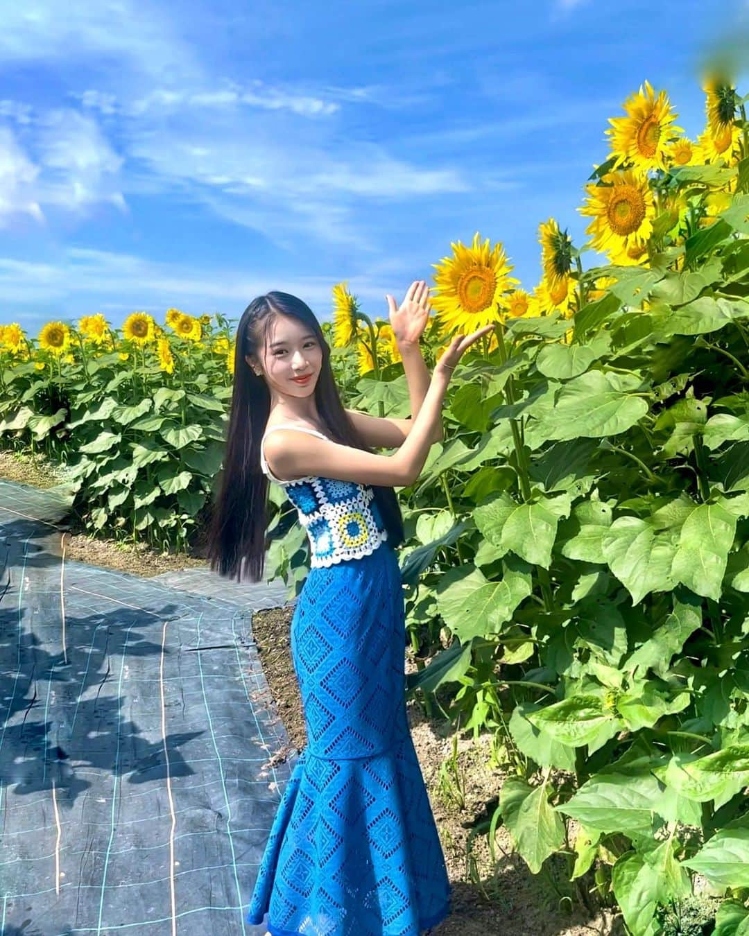 天翔天音のインスタグラム：「向日葵と🌻🌥  #サタデープラス　#生放送 #天翔天音 #05 #fashion #summer #夏 #ひまわり畑」