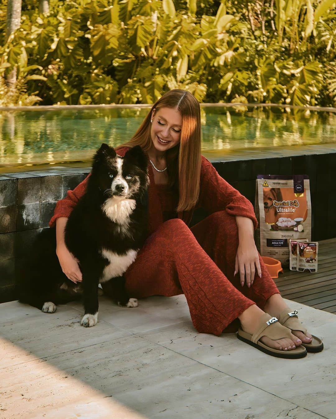 マリーナルイバルボサのインスタグラム：「Sig é meu modelo favorito. Um momento de apreciação, por favor! 🧡  Uma dica para os papais de pet é @specialdogoficial que agora está com uma embalagem ainda mais linda e com zero corantes. O Sig ama! :)」
