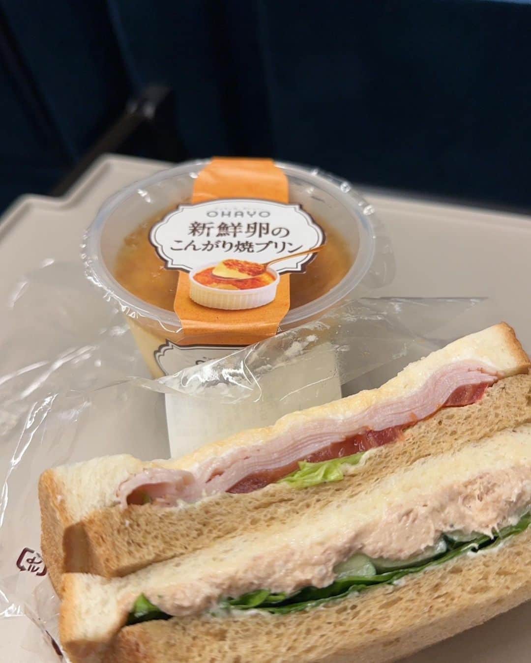 野田聖子さんのインスタグラム写真 - (野田聖子Instagram)「美味しそうなサンドイッチが目に留まる。 こんがり焼プリン⁈ これまた美味しそう。  両方いただきます！  #野田聖子」8月16日 22時14分 - seiko.noda