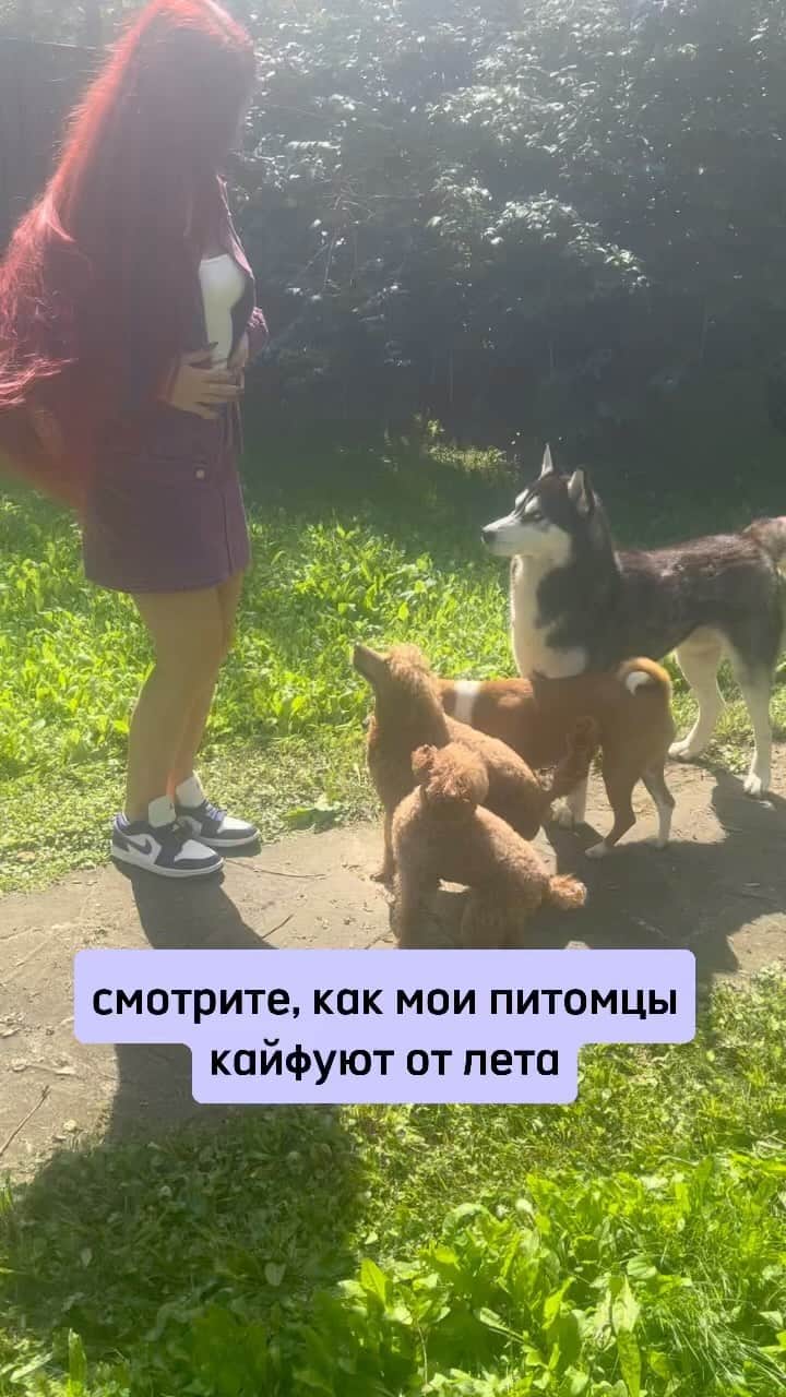 アレクサンドラ・トゥルソワのインスタグラム：「Мои собачки готовы играть в любое время года, но летом они особенно радуются солнышку и теплу ☺️  Жалко, что лето уже заканчивается, буду скучать по долгим прогулкам на природе. Но, у меня есть один способ, как немножко продлить лето — вы можете, как и я, поучаствовать в конкурсе от Яндекса 360  Снимайте своих любимых питомцев, когда они наслаждаются летом, и выкладывайте фото и видео в ленту с хештегом #летотека360 до 28 августа 🐕  И уже 31 августа будет объявлен победитель, который поедет продлевать лето в Турцию в начале октября. Всем удачи 🫶」