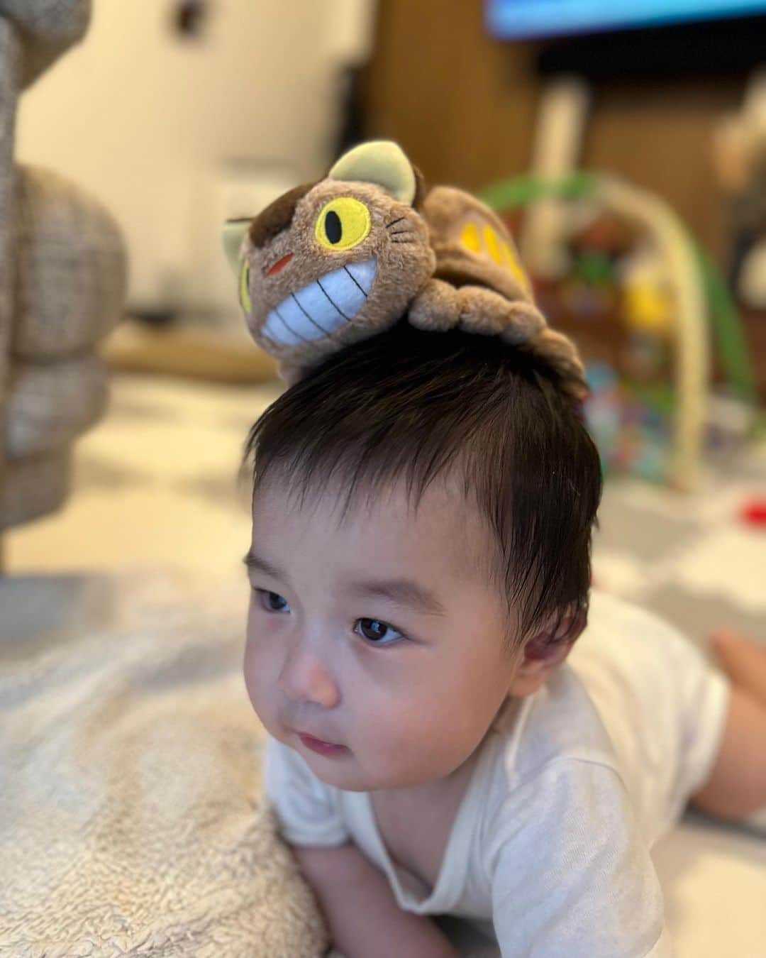 のインスタグラム：「坊👶 と ねこバス🐈🚌 の共演🤣💕 #ジブリ #千と千尋の神隠し  #となりのトトロ」