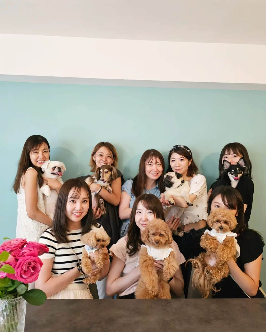 杉山由紀子のインスタグラム：「第一回わんちゃん会🐶🐾💓 来てくれたみんな本当にありがとう✨  ずっとやりたかったおうち犬会😆 夏であつすぎるお外... わんちゃんたちにとってはなかなかお散歩が気軽にできない季節😣  そんなわんちゃんたちのために&わんちゃん同士のコミュニケーションがとれるようにノーリードの場をつくりたかった💓  ということでとりあえずおうちで毎月やろうと思います✨✨✨  将来的にやっぱりわんちゃんに関わりのあることやりたいみたい✨  まだこれ！っていう出口はみえてませんが✨ みつかるといいなー😊  しらたまのお友達はぜひ(*^^*)👍️ 参加したい方はしてね♪♪  #犬 #わんちゃん #犬会 #わんちゃん会 #小型犬 #ペキニーズ #トイプードル #ティーカッププードル #ダックスフント #チワワ #パグ #ノーリード #室内 #しらたまひょっこりはん」