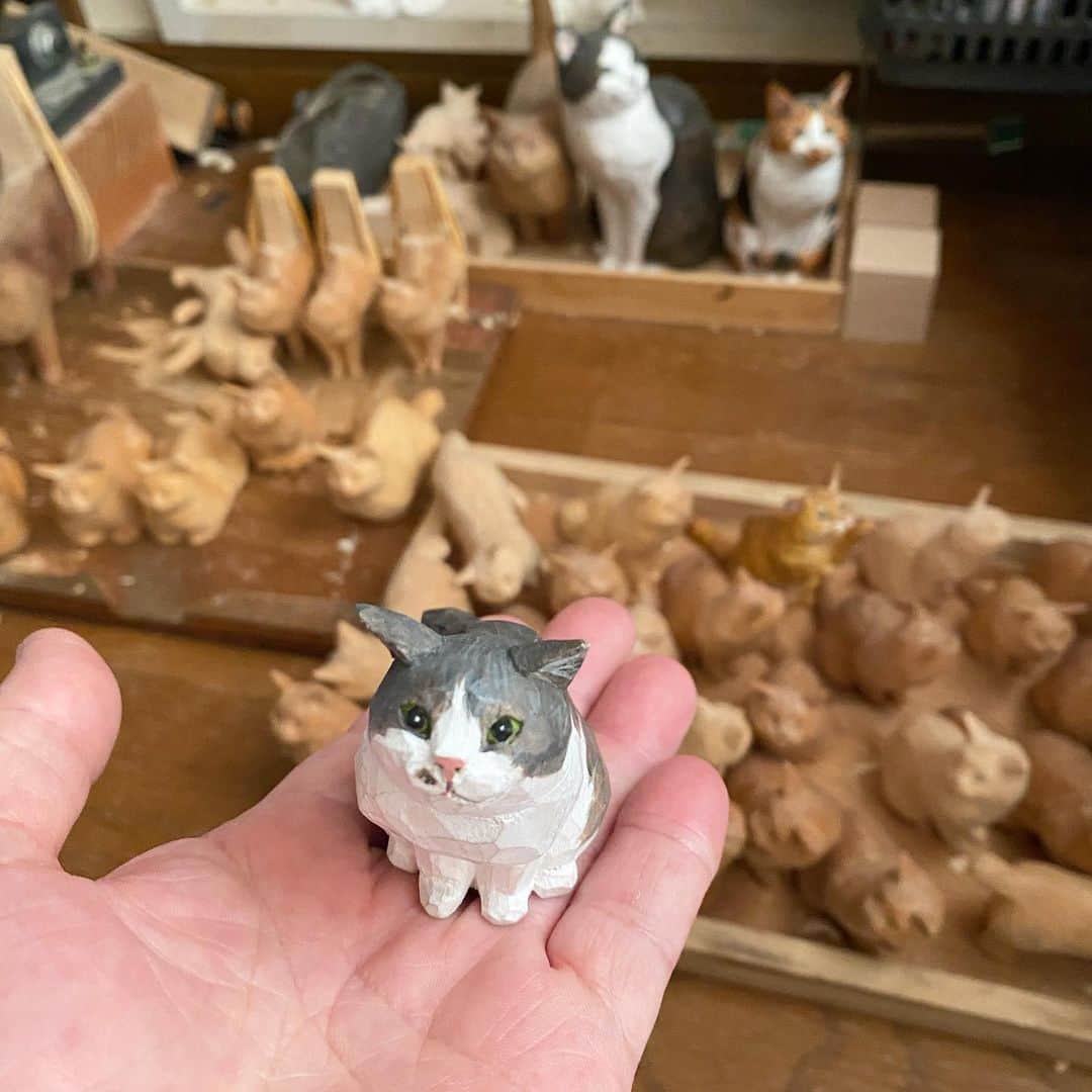 yamanekoのインスタグラム：「先週、うちの家族がインド🇮🇳に旅行に行くと言う事で(私は留守番）タローも連れて行ってもらう事にしました。 うーん、ホクロもバッチリ👌 次はタローの「世界不思議発見」です！ お楽しみに😹🇮🇳🎵  #ねこ #ねこすたぐらむ #ねこ部 #木彫り猫 #猫彫刻 #バンナイリョウジ #cat#catsculpture #catcarving #sculpture #catstagram #ryojibannai」