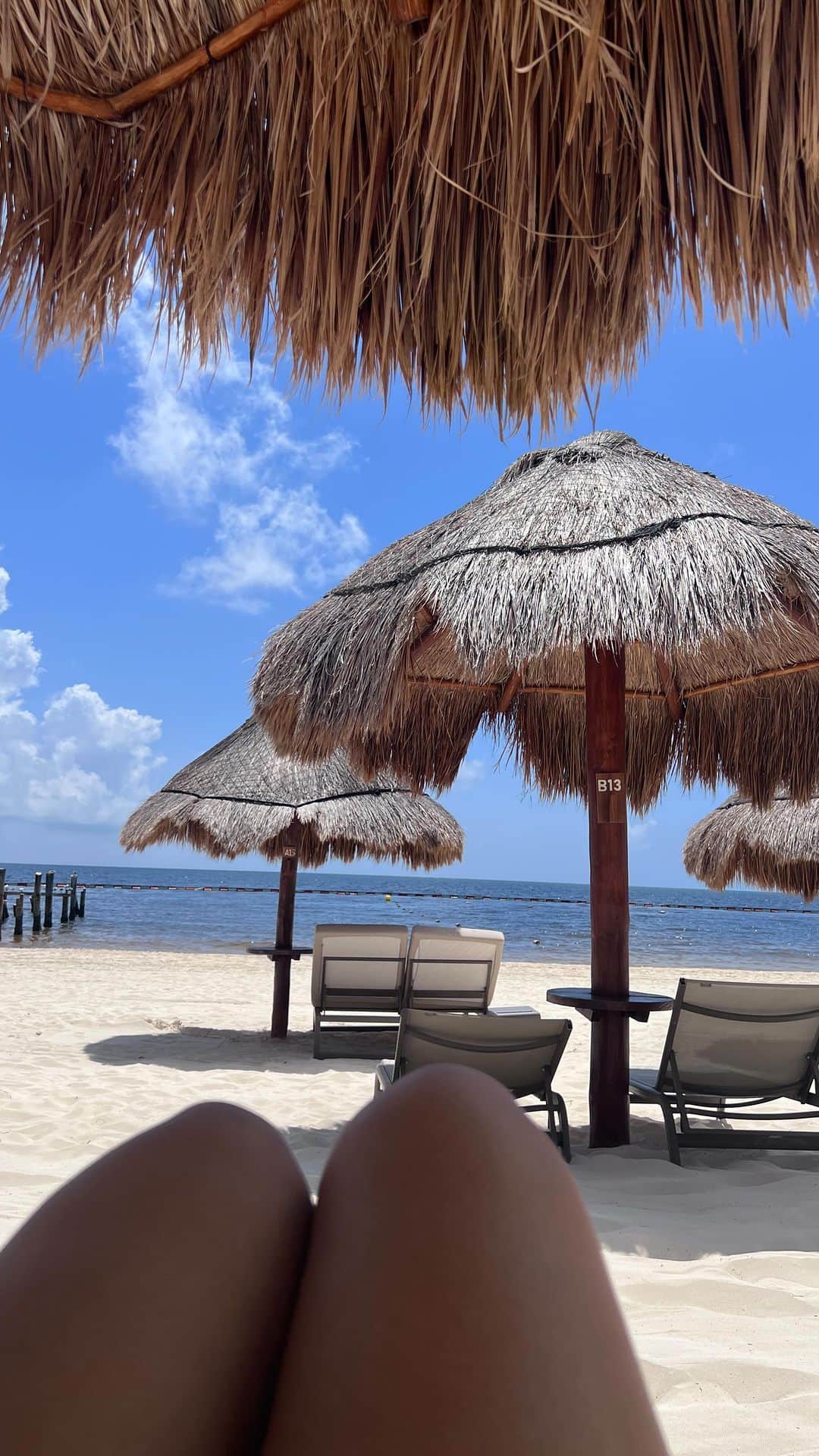レオナ・ルイスのインスタグラム：「🌴🇲🇽❤️」