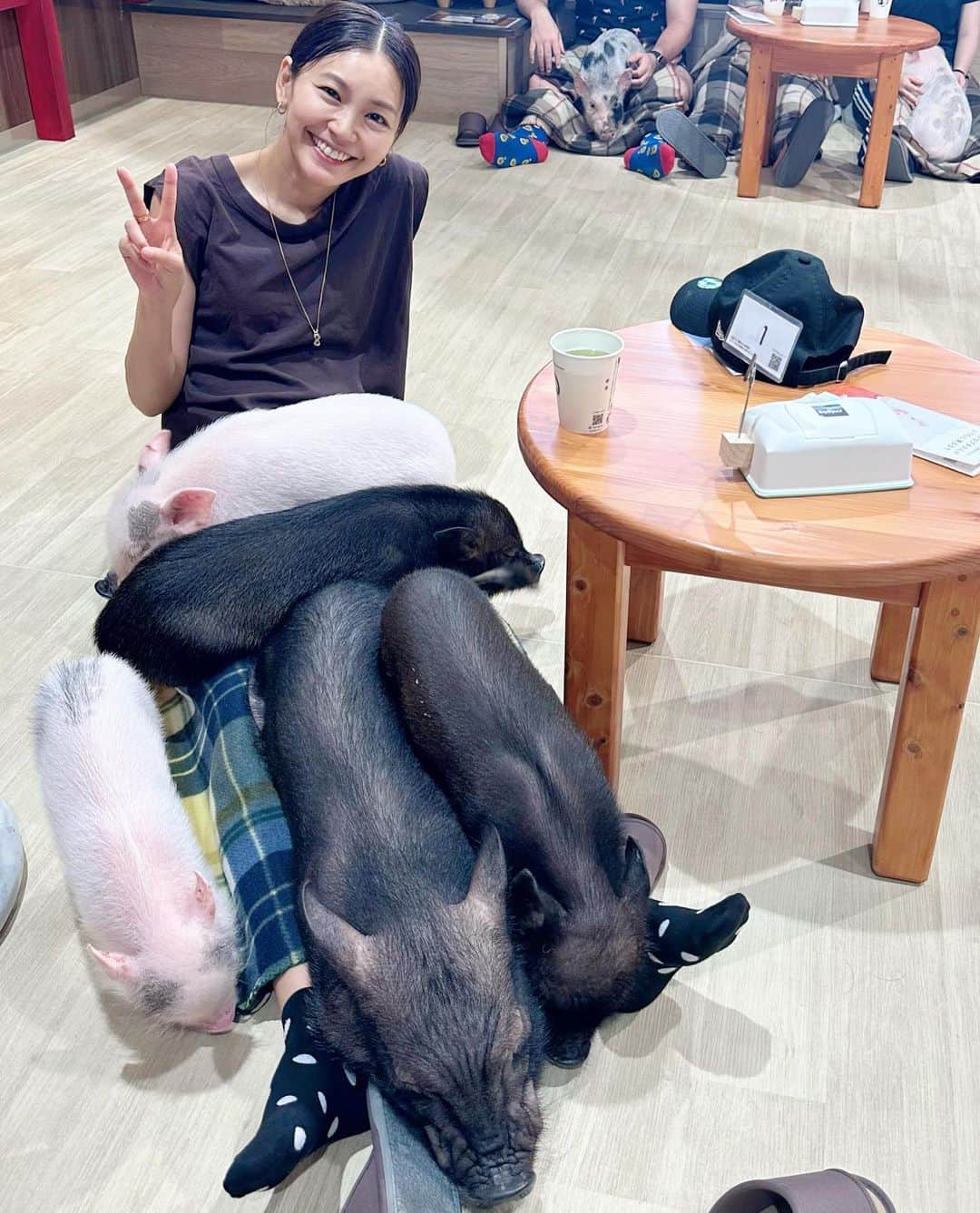ナオのインスタグラム：「初の豚カフェ🐖  可愛すぎるー😍😍😍  豚ちゃんに気に入られたのかな。 脚の上が大渋滞🤣  また行きたーい♪」