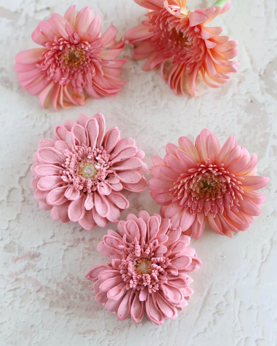 청담 수케이크 (atelier soo)のインスタグラム：「Pinkgerbera  #gerbera #buttercreampiping」