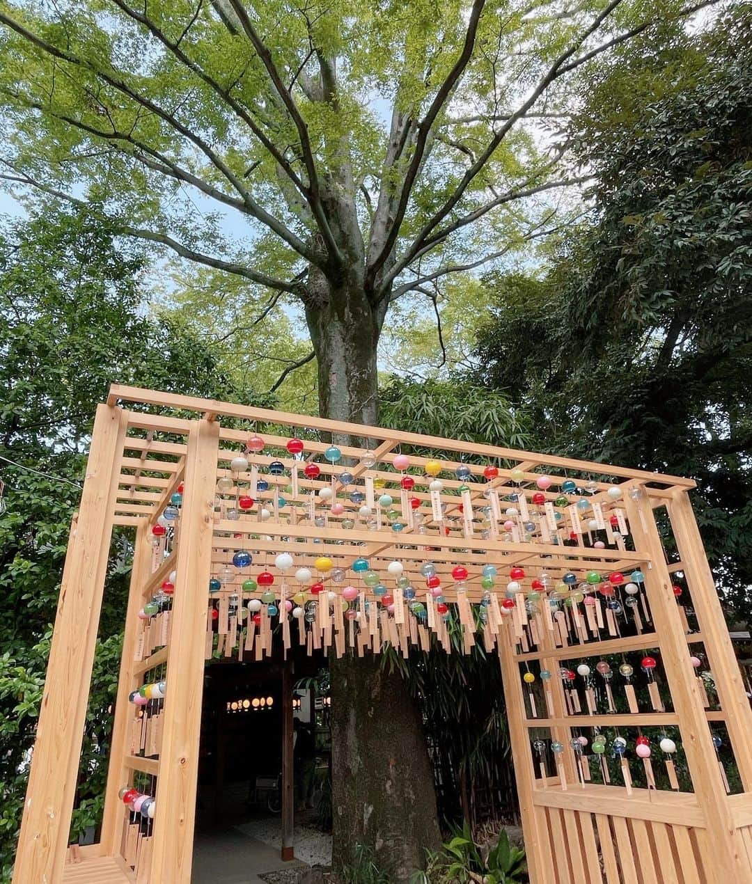 川越氷川神社さんのインスタグラム写真 - (川越氷川神社Instagram)「. 風鈴・短冊も戻し、本日より通常の運営になりました。  #川越氷川神社 #縁むすび風鈴 #風鈴回廊 #江戸風鈴 #風鈴 #埼玉 #小江戸川越 #川越 #kawagoe」8月17日 12時17分 - kawagoe_hikawa