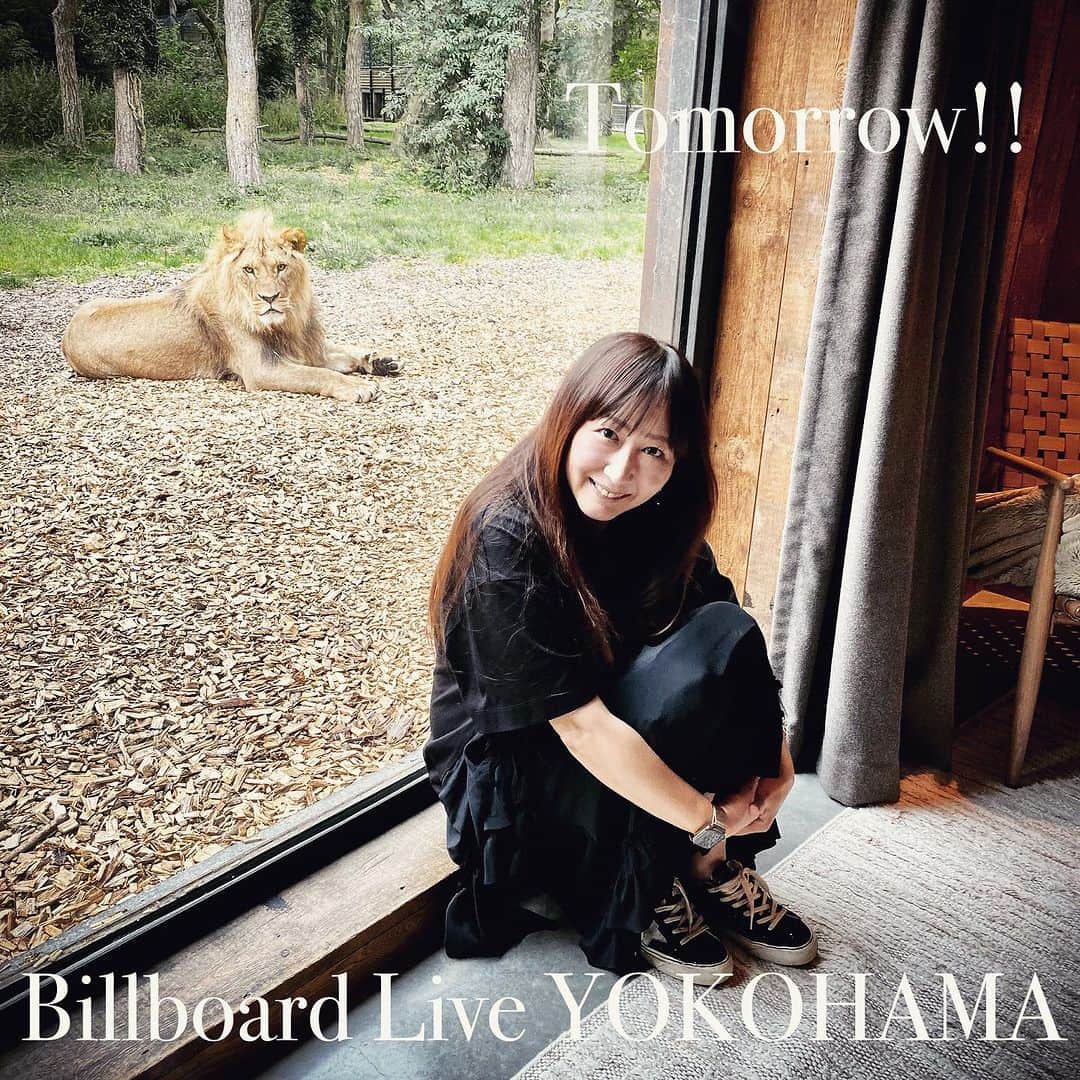 KOKIAのインスタグラム：「8.18.明日、ビルボードライブ横浜でライブしまーす！ラッキーなことにお天気みたい。チケットはビルボード横浜のページから！大人の夏休み満喫しましょう！ちなみにこれは私の夏休み。レオちゃんと一緒にライオンのお家にあるホテルに泊まりに行きました。ガォー #billboard #ビルボードライブ横浜 #ビルボード横浜 #live」