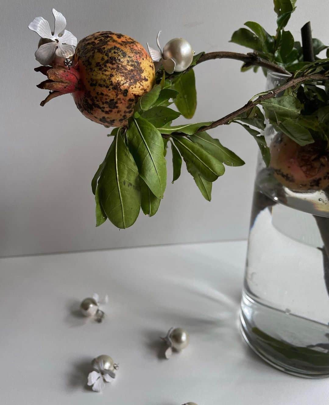 MICA   rippmonsterのインスタグラム：「Pomegranate 🤍」